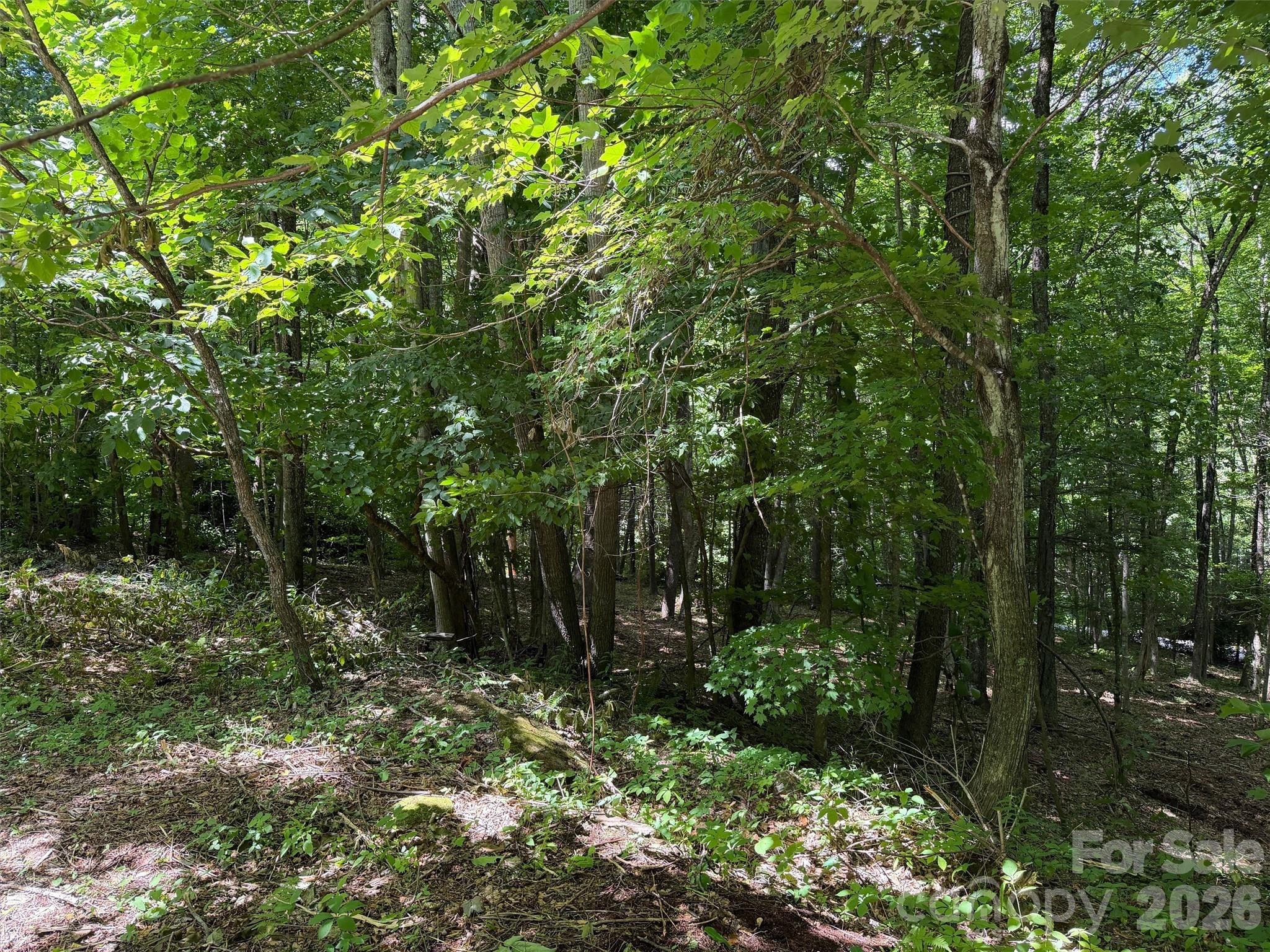 Villages of Plott Creek - Land
