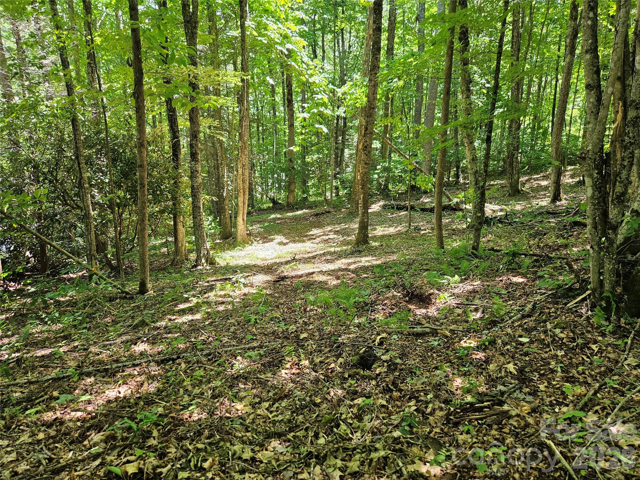 Villages of Plott Creek - Land