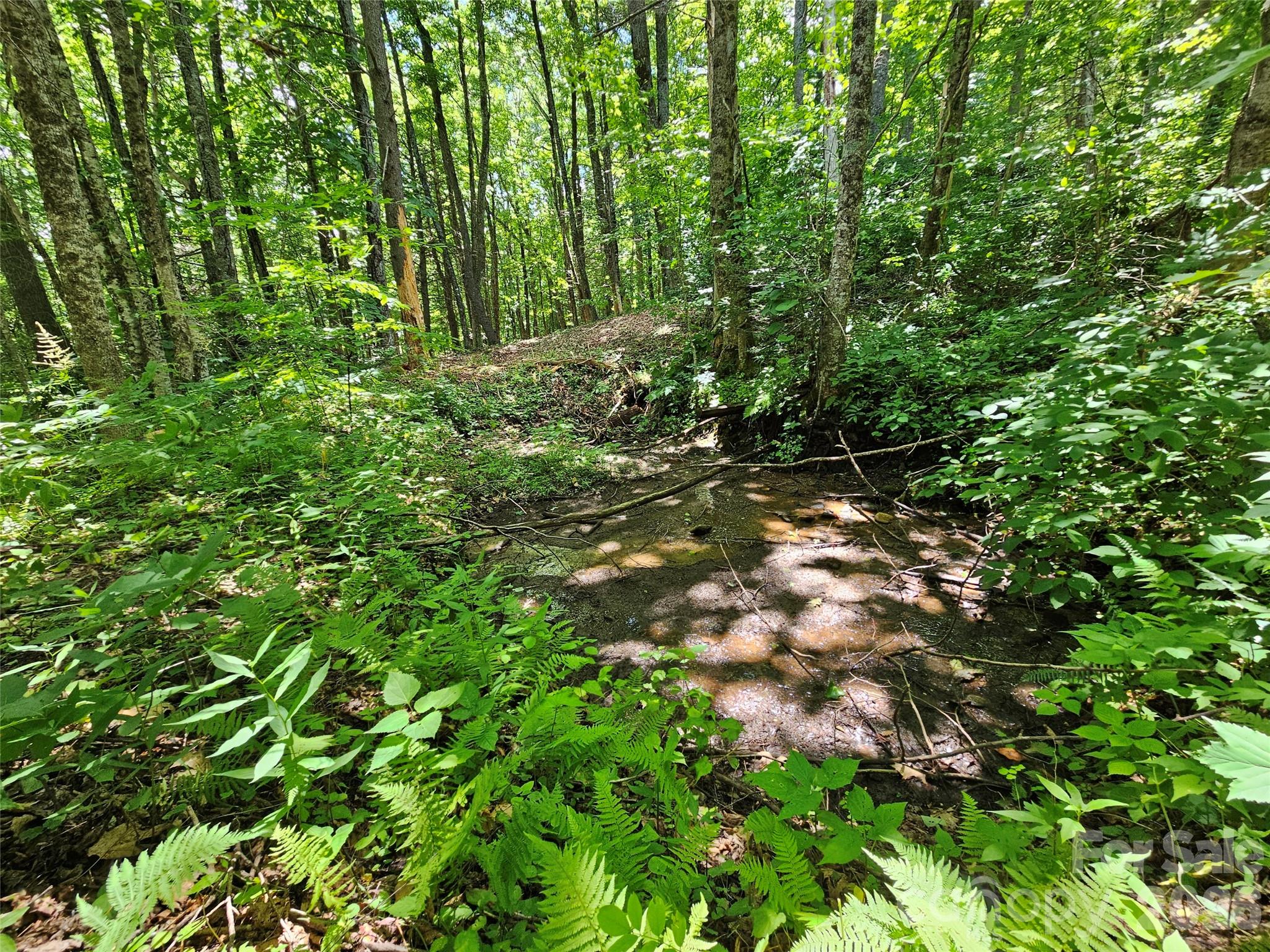 Villages of Plott Creek - Land
