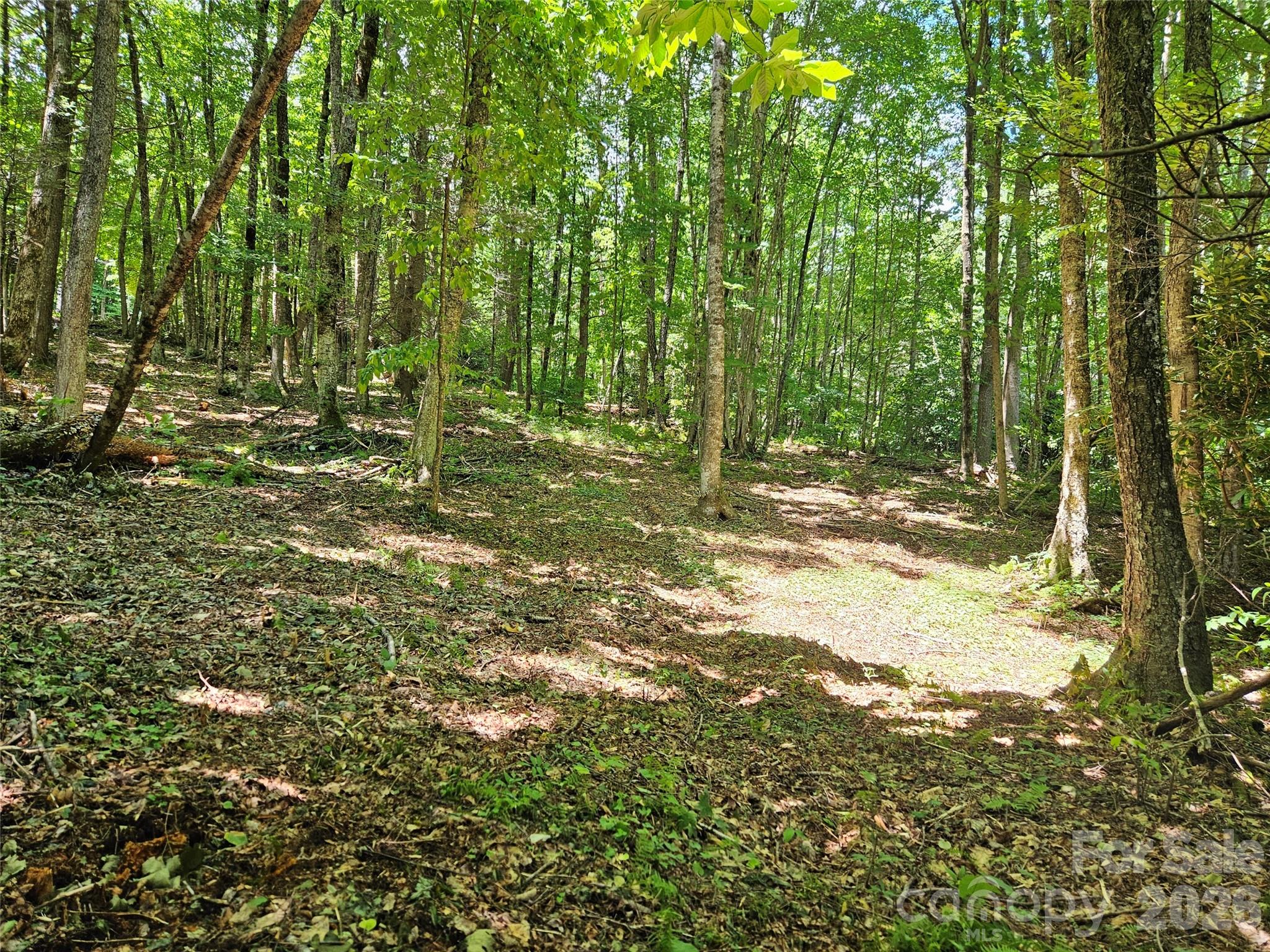 Villages of Plott Creek - Land