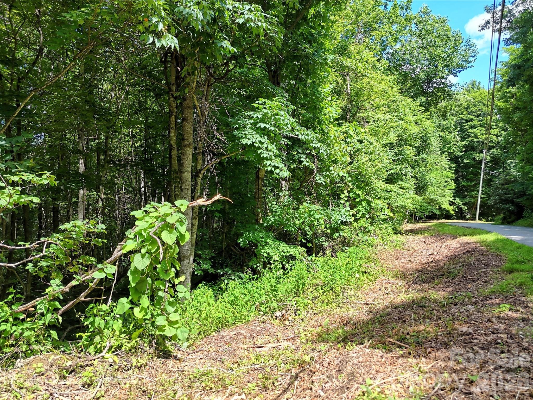 Villages of Plott Creek - Land