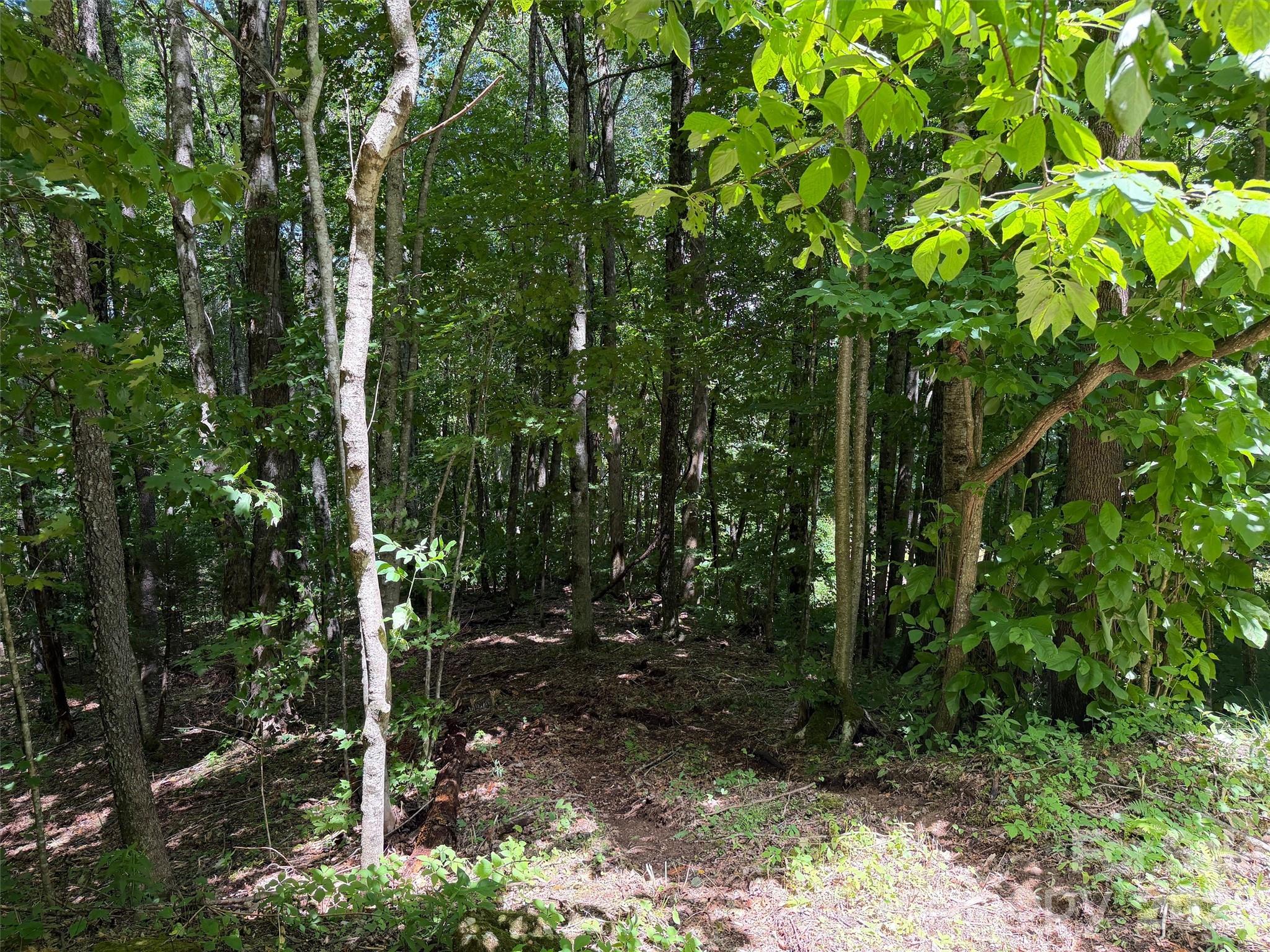 Villages of Plott Creek - Land