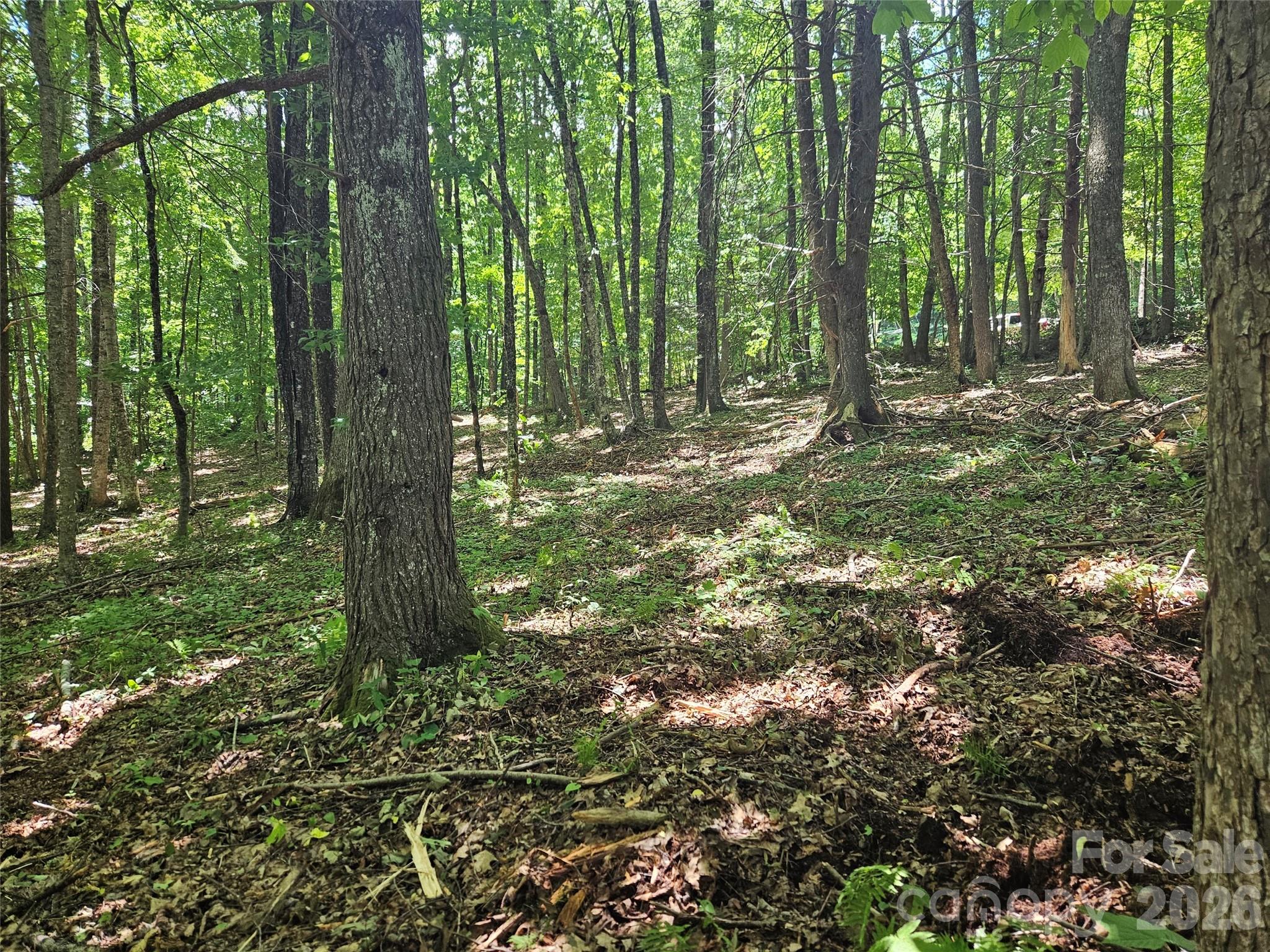 Villages of Plott Creek - Land
