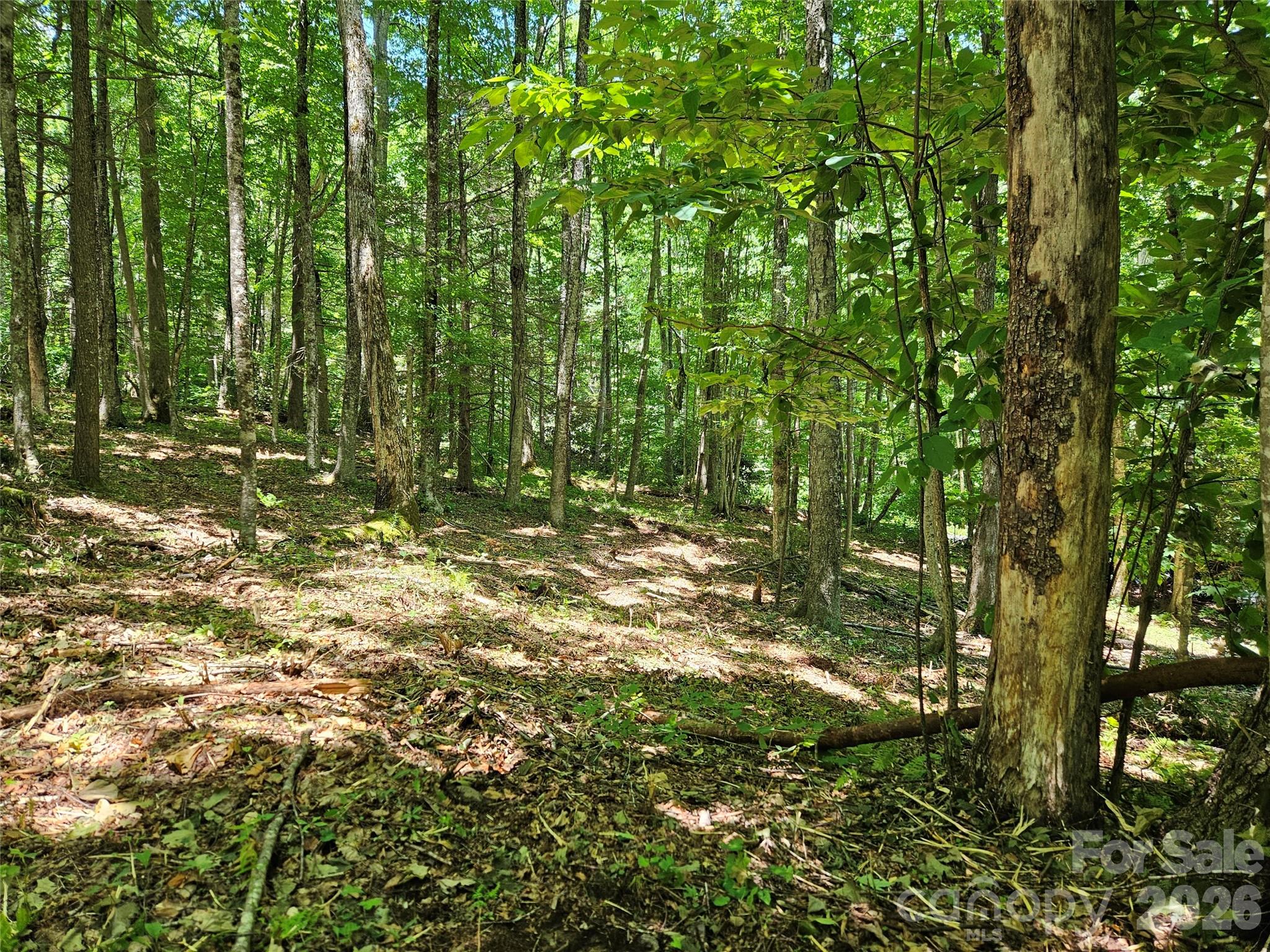 Villages of Plott Creek - Land