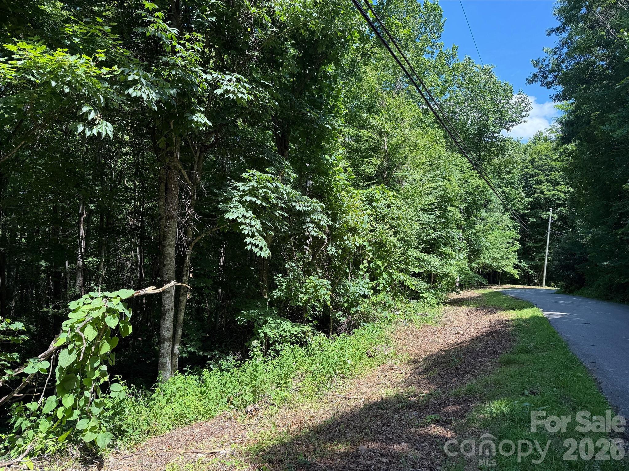 Villages of Plott Creek - Land