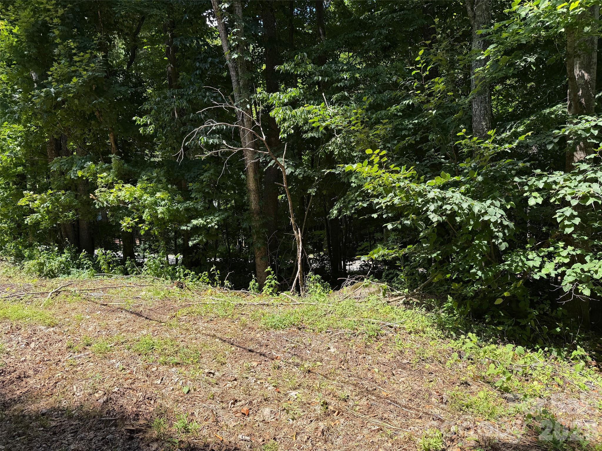 Villages of Plott Creek - Land