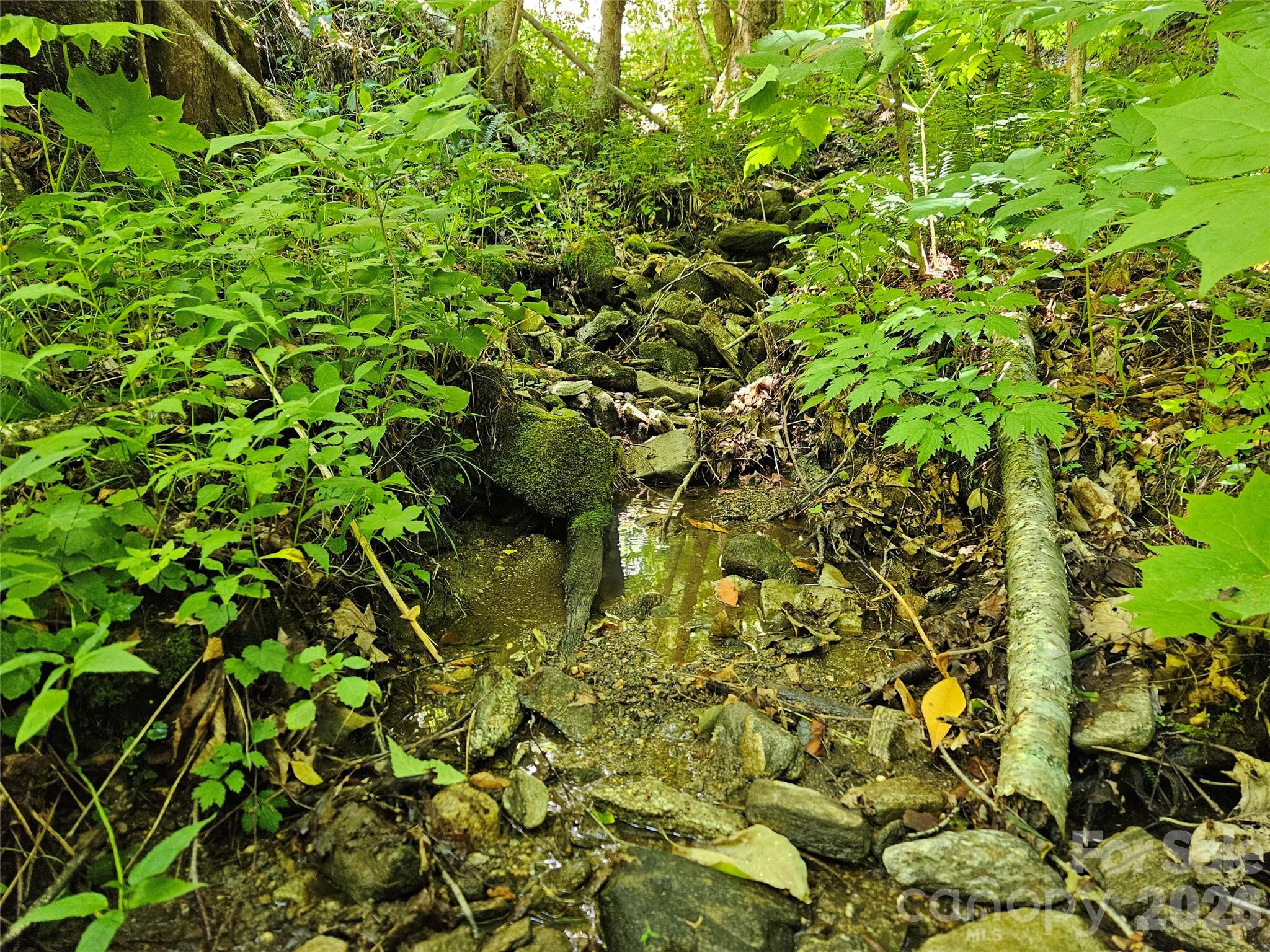 Villages of Plott Creek - Land
