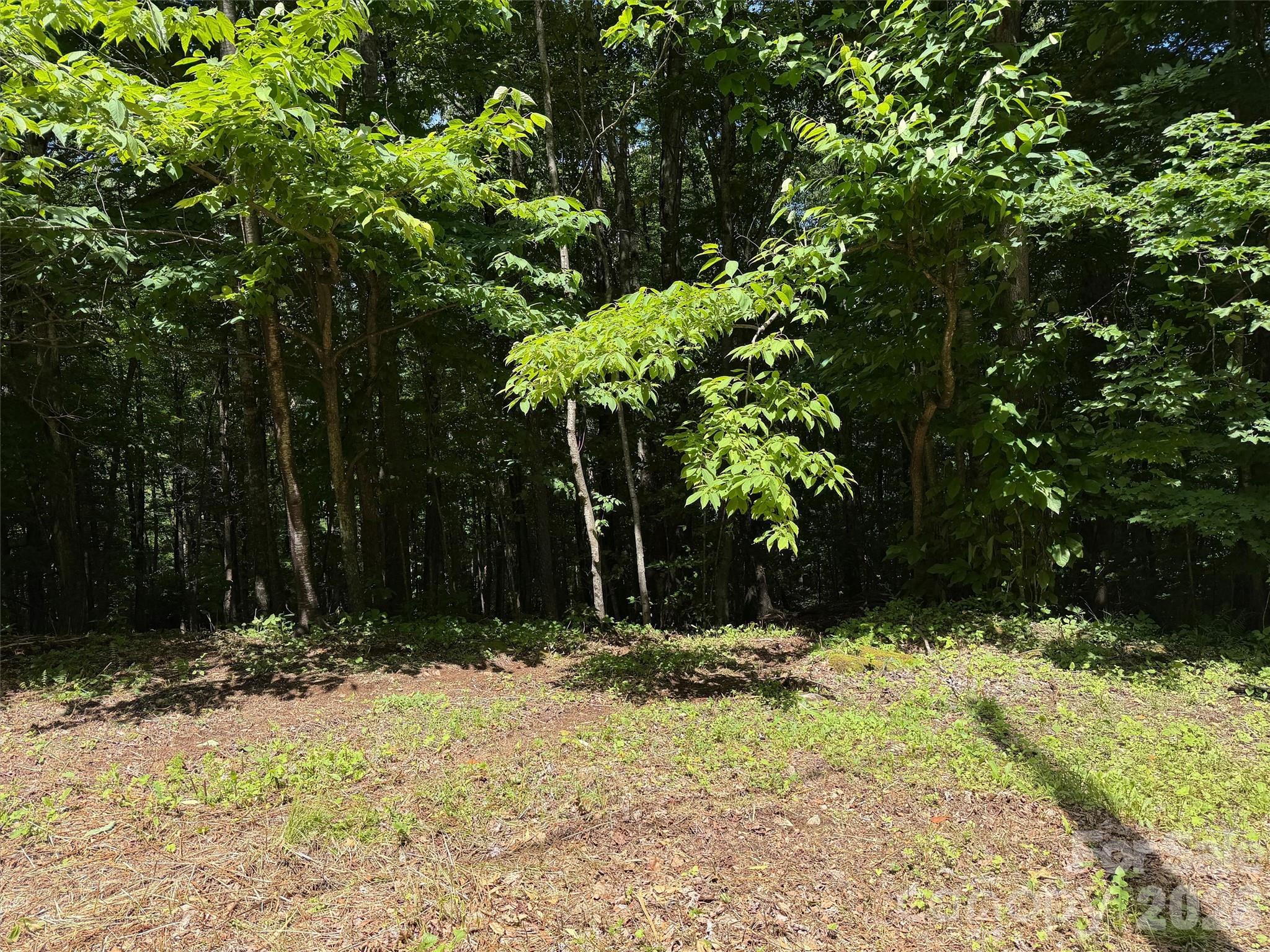 Villages of Plott Creek - Land