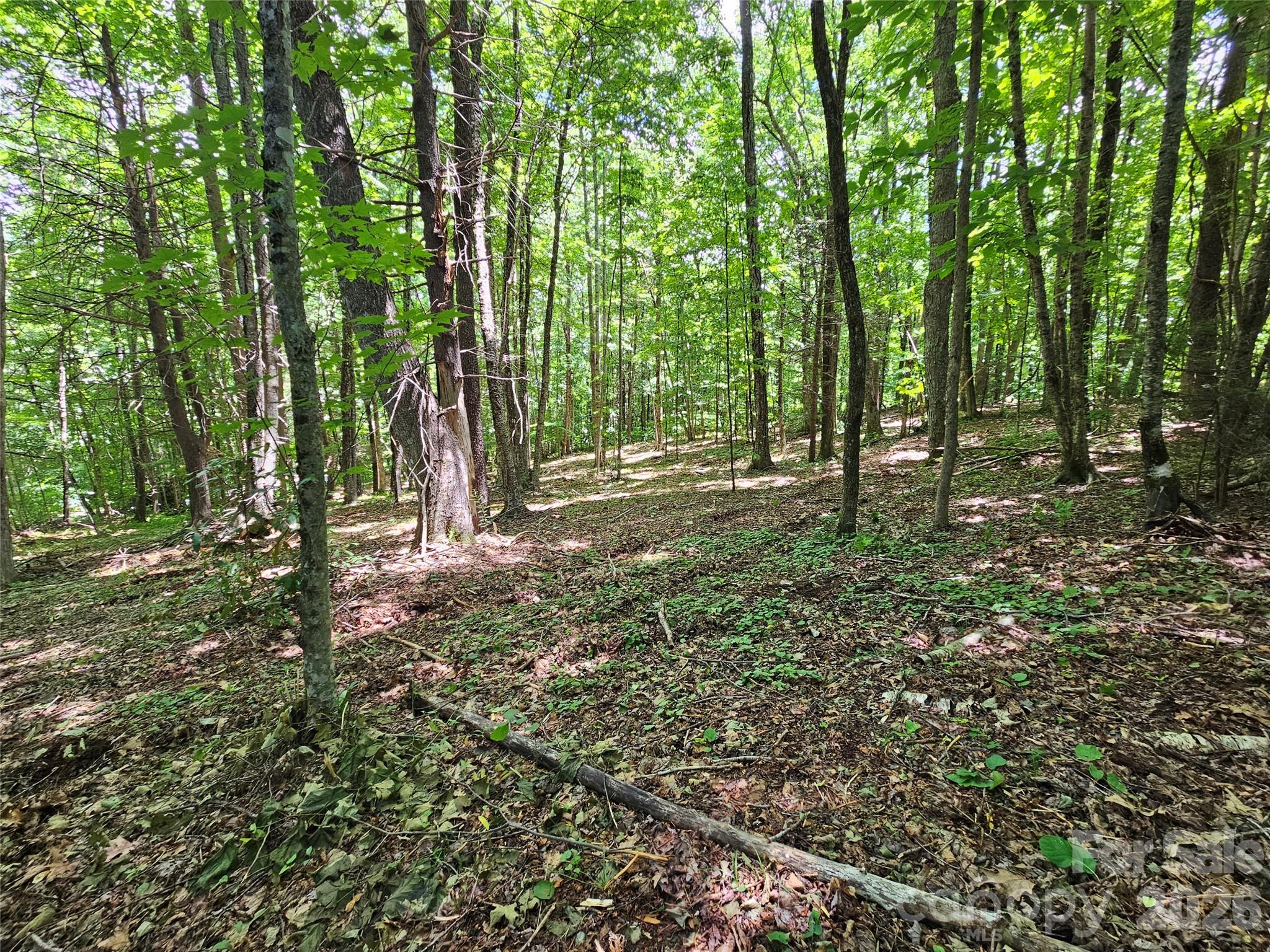 Villages of Plott Creek - Land