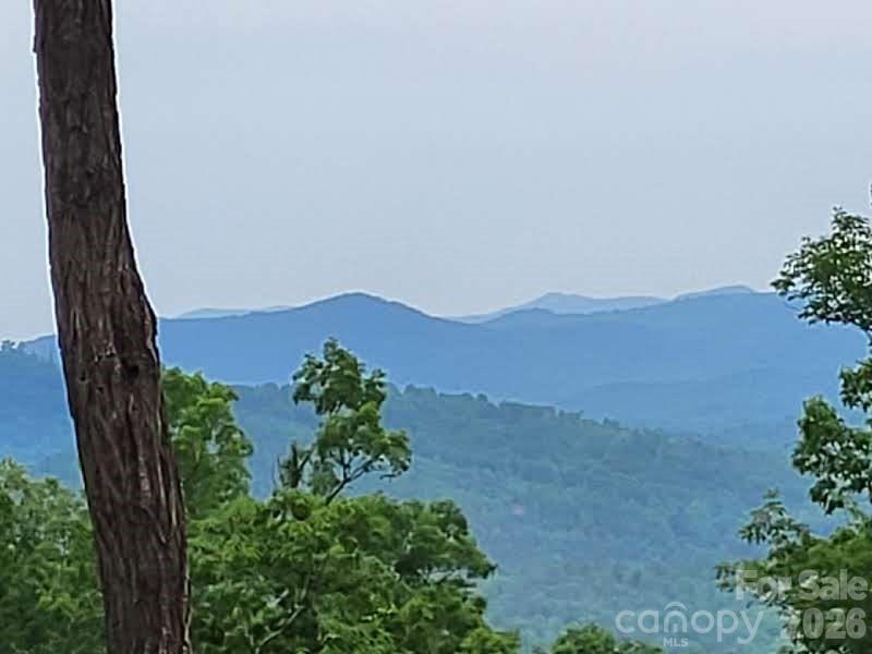 Views, views, views! This unrestricted 6 acre tract offers the freedom and flexibility to create the lifestyle you want. Build your dream home, establish a small farm, set up a tiny home, hunt, camp under the stars, or simply park your RV and enjoy the fresh mountain air. Featuring a mix of sloping and level terrain, the property provides an easy approach for a driveway leading to a spacious, level homesite. With room to roam and privacy, this ridge top setting atop Young’s Mountain delivers the perfect blend of seclusion and natural beauty. Selective tree clearing can open up sweeping long range mountain views stretching from the north to the east. Mature hardwoods, including beautiful white oaks, enhance the landscape and offer a classic Western North Carolina feel. Located just north of Lake Lure, this property sits along a road maintained by a local development, with no HOA and no dues. A rare opportunity to own unrestricted mountain land with incredible potential. Call today to schedule your showing.