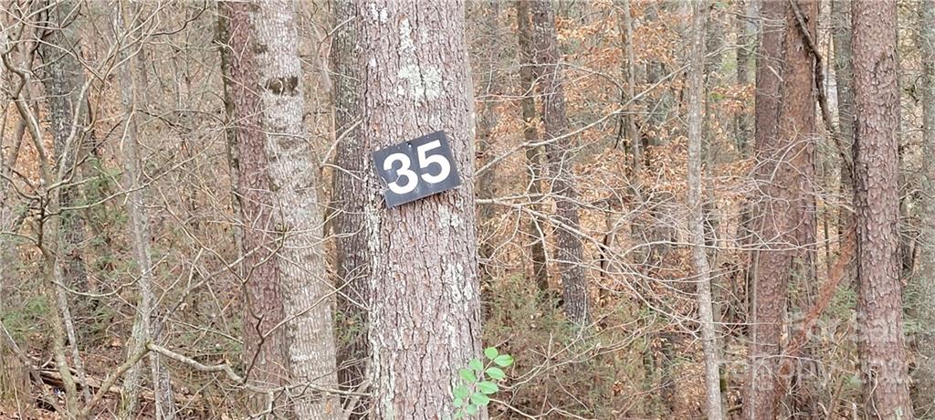 BELOW TAX VALUE! Come build your dream home in Settlers Cove. A quiet, established, gated subdivison. Close to schools, shopping, dinning and Mars Hill University. This lot has a previous 4 bedroom perc test and home layout. It is accessible from both the top and bottom of the lot affording you many building options. Listing agent has a ownership interest in the property. Possible subordination for a builder.