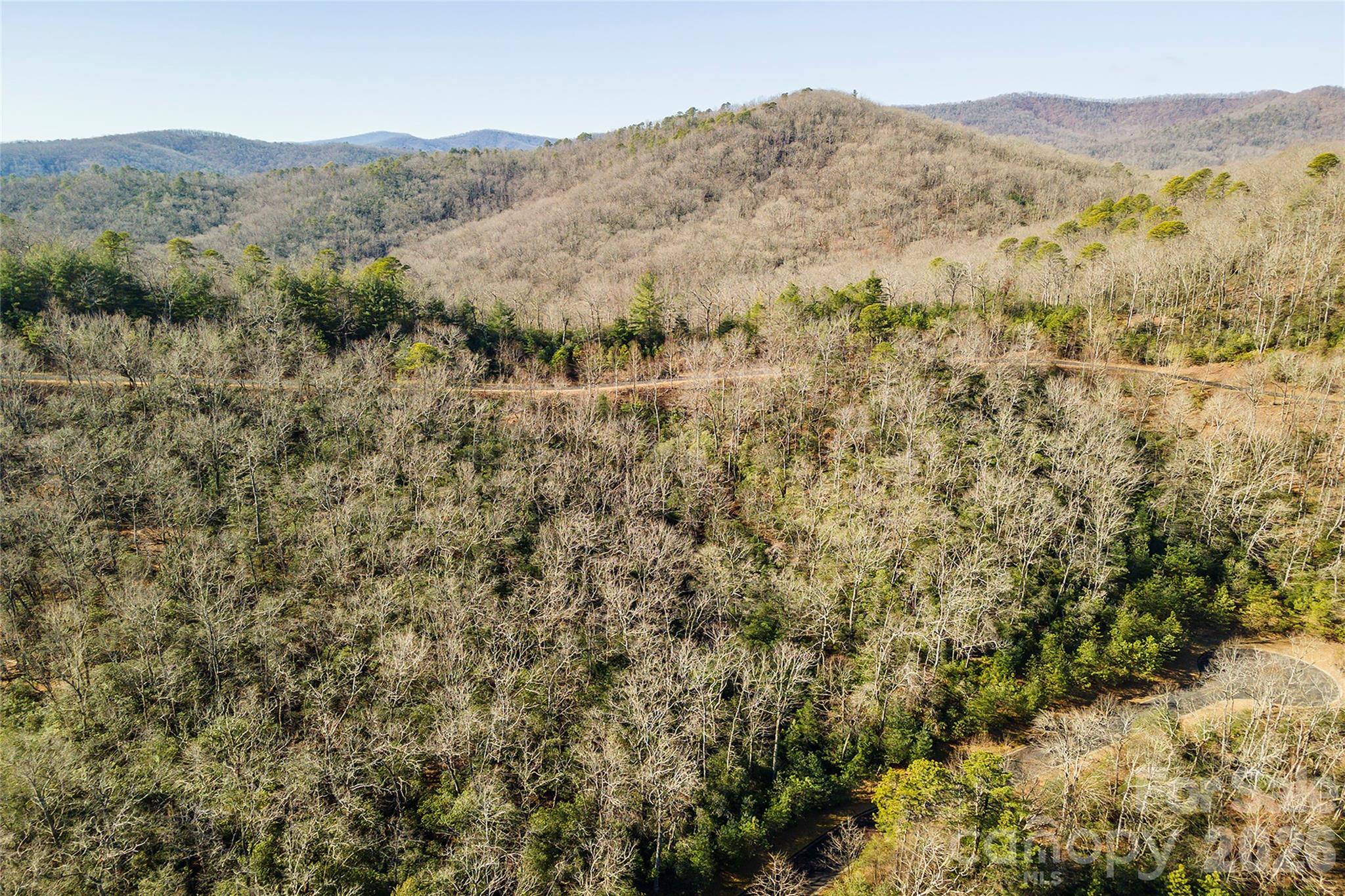Homestead at Mills River - Land