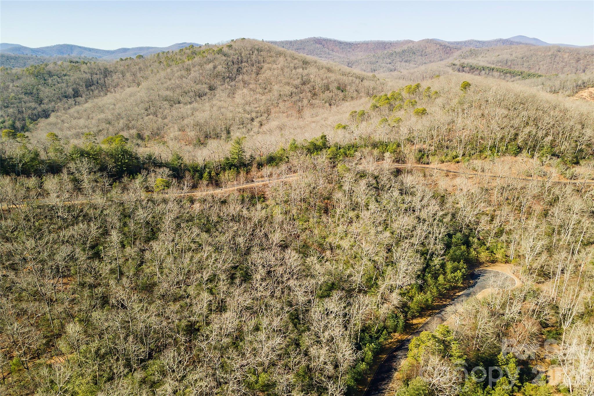 Homestead at Mills River - Land