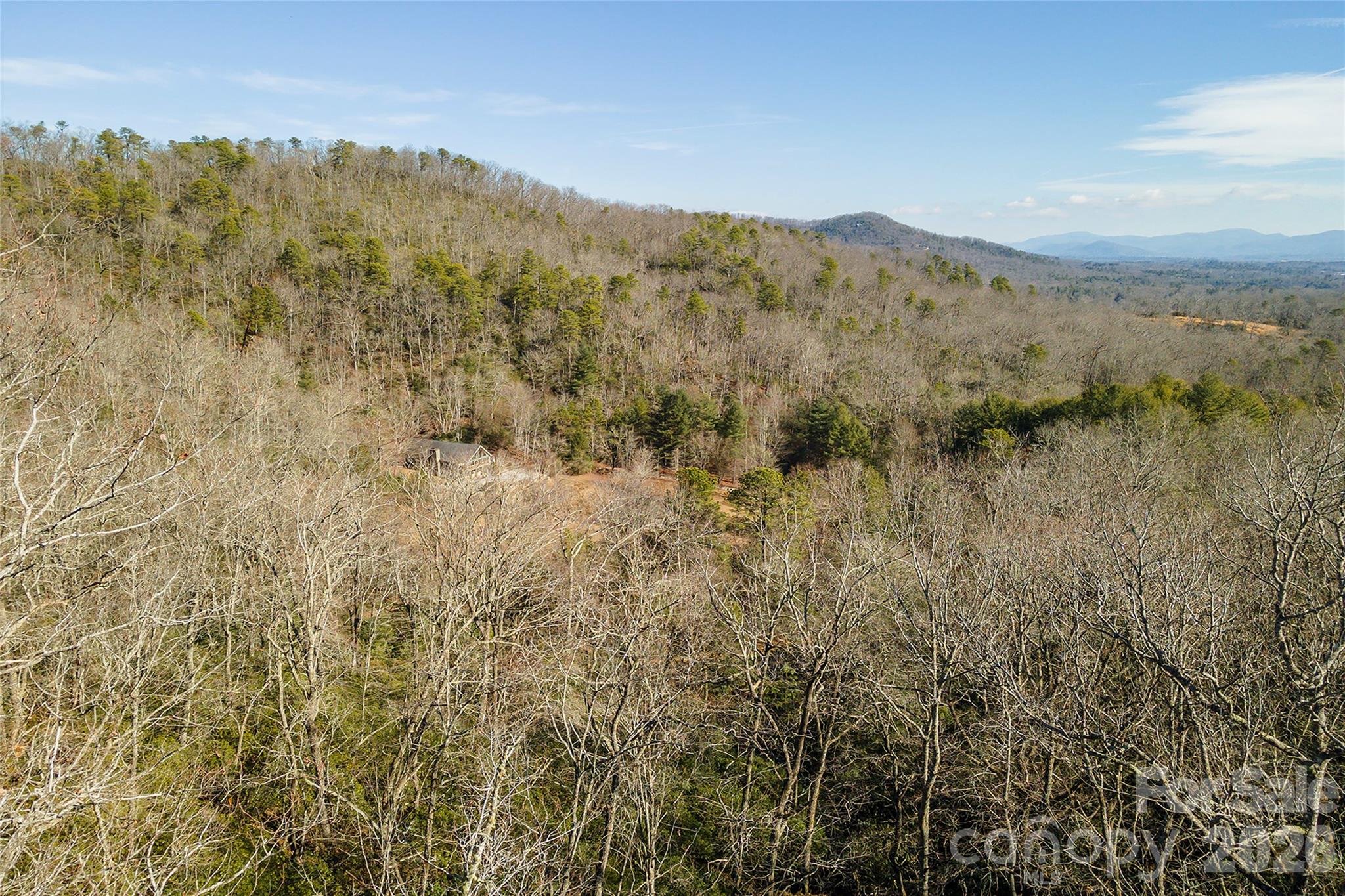 Homestead at Mills River - Land