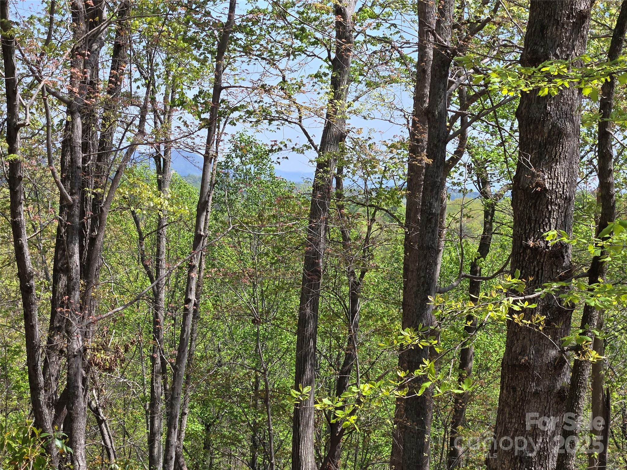 Rumbling Bald on Lake Lure - Land