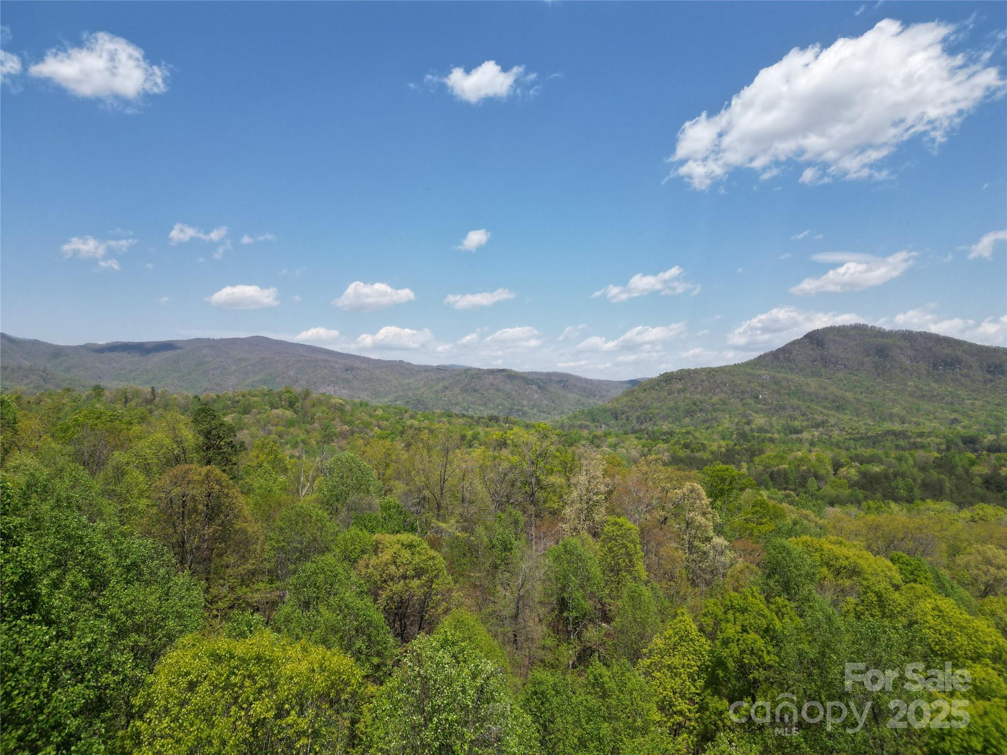 Rumbling Bald on Lake Lure - Land