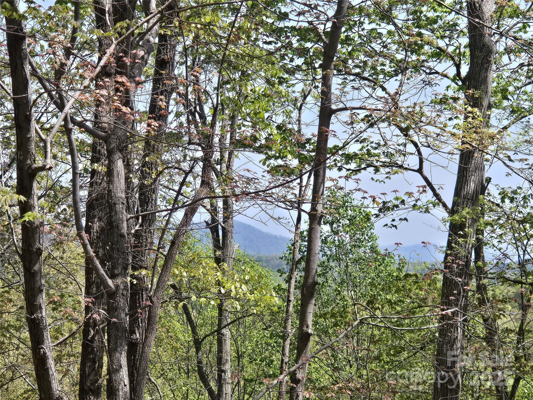 Rumbling Bald on Lake Lure - Land