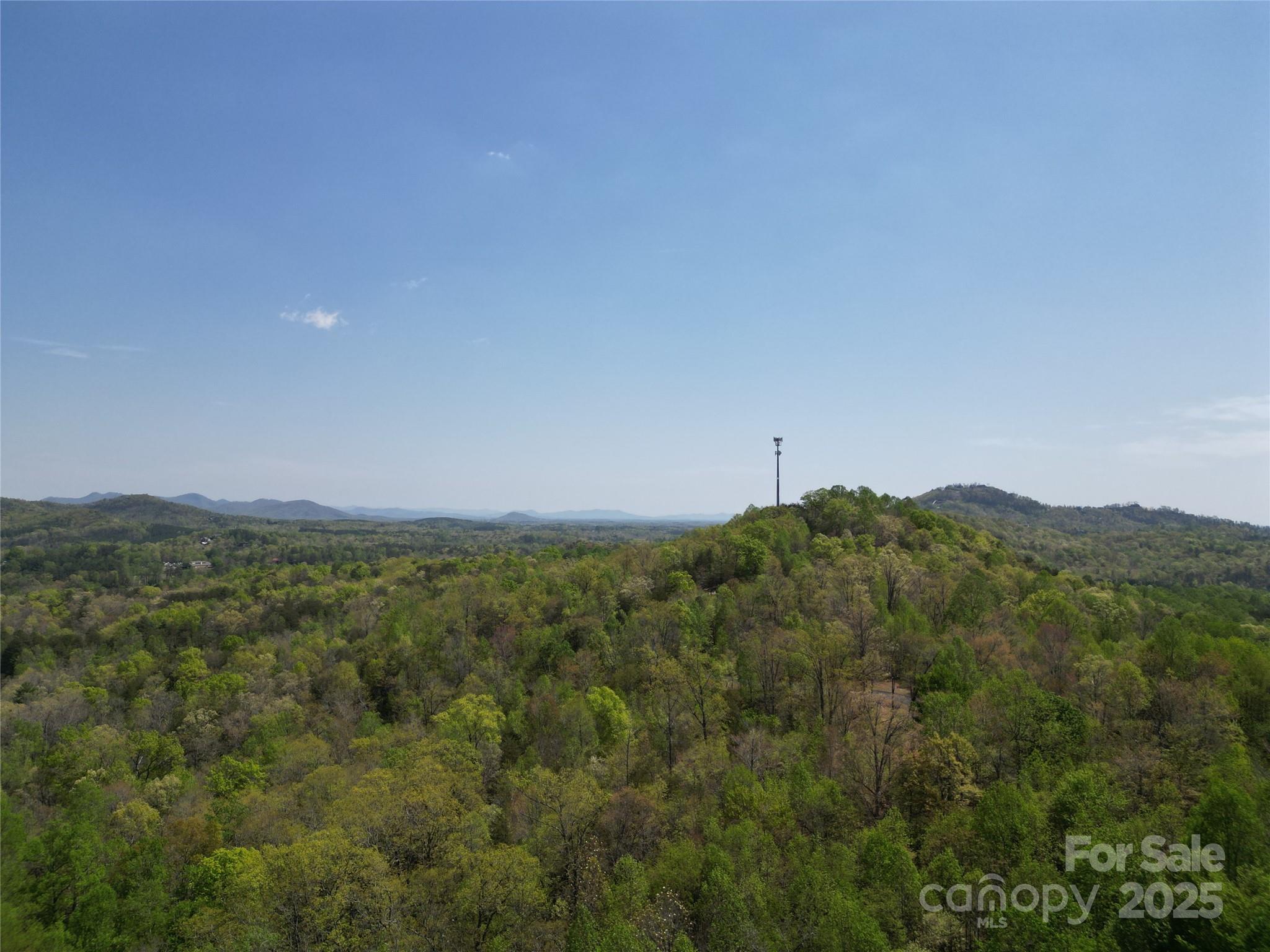 Rumbling Bald on Lake Lure - Land