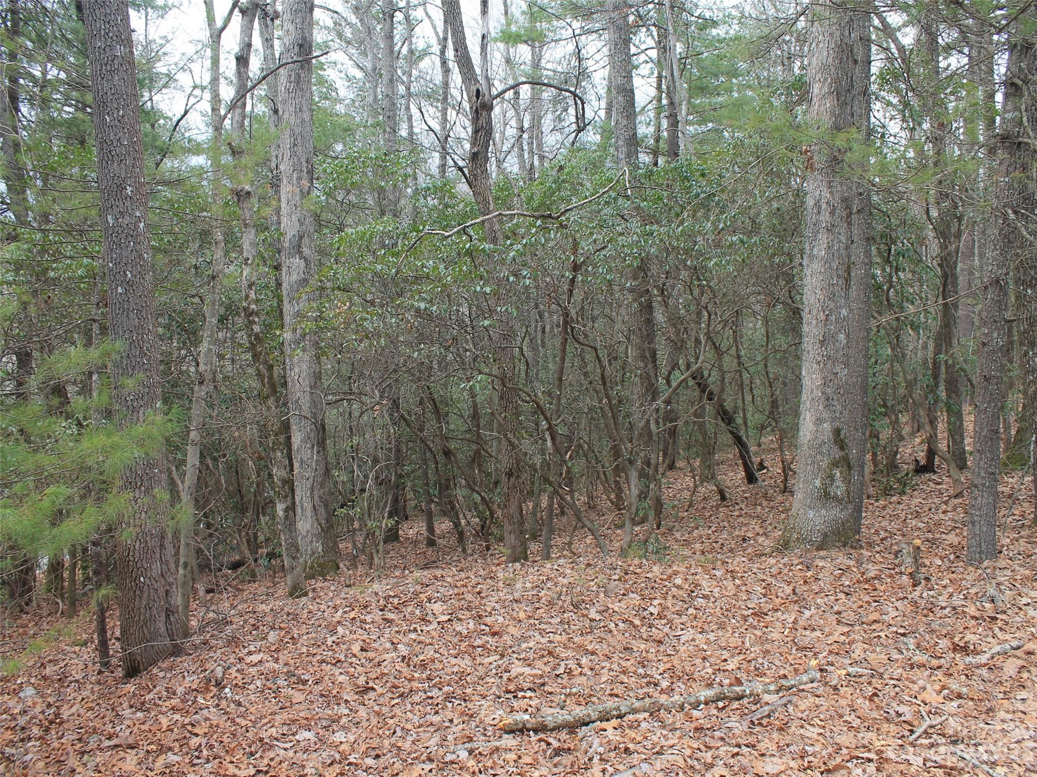 Kanuga Ridge - Land