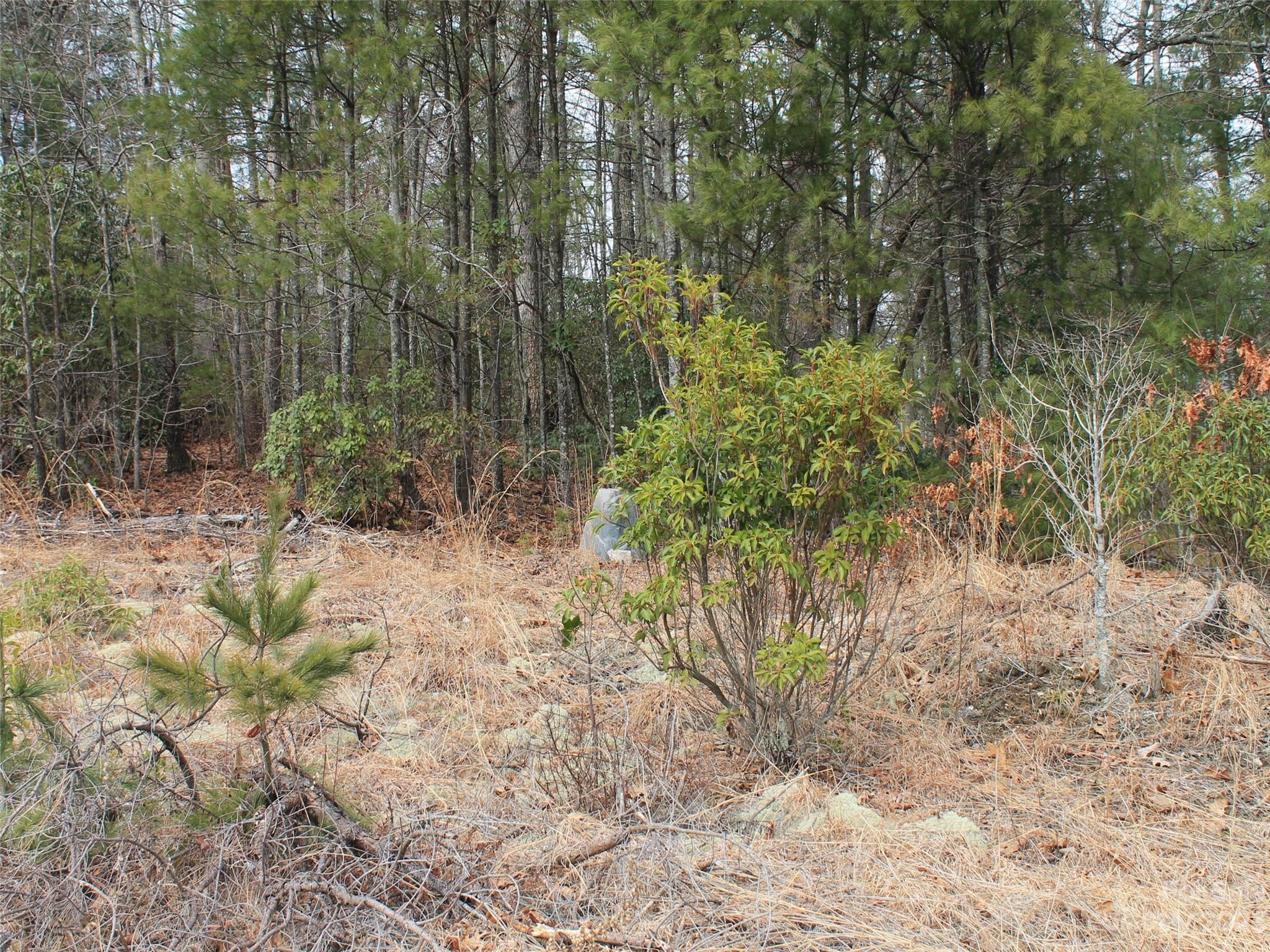 Kanuga Ridge - Land