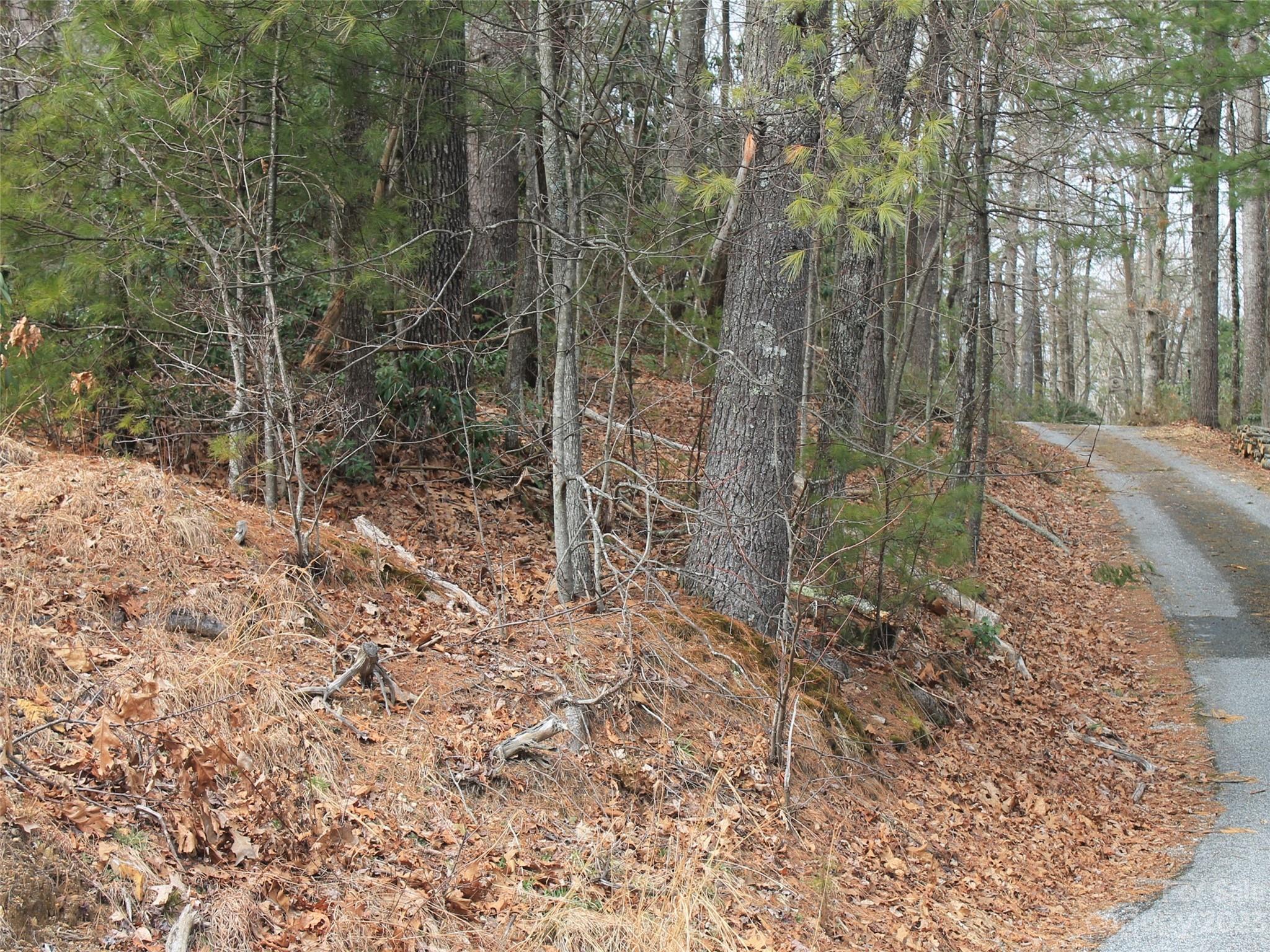 Kanuga Ridge - Land