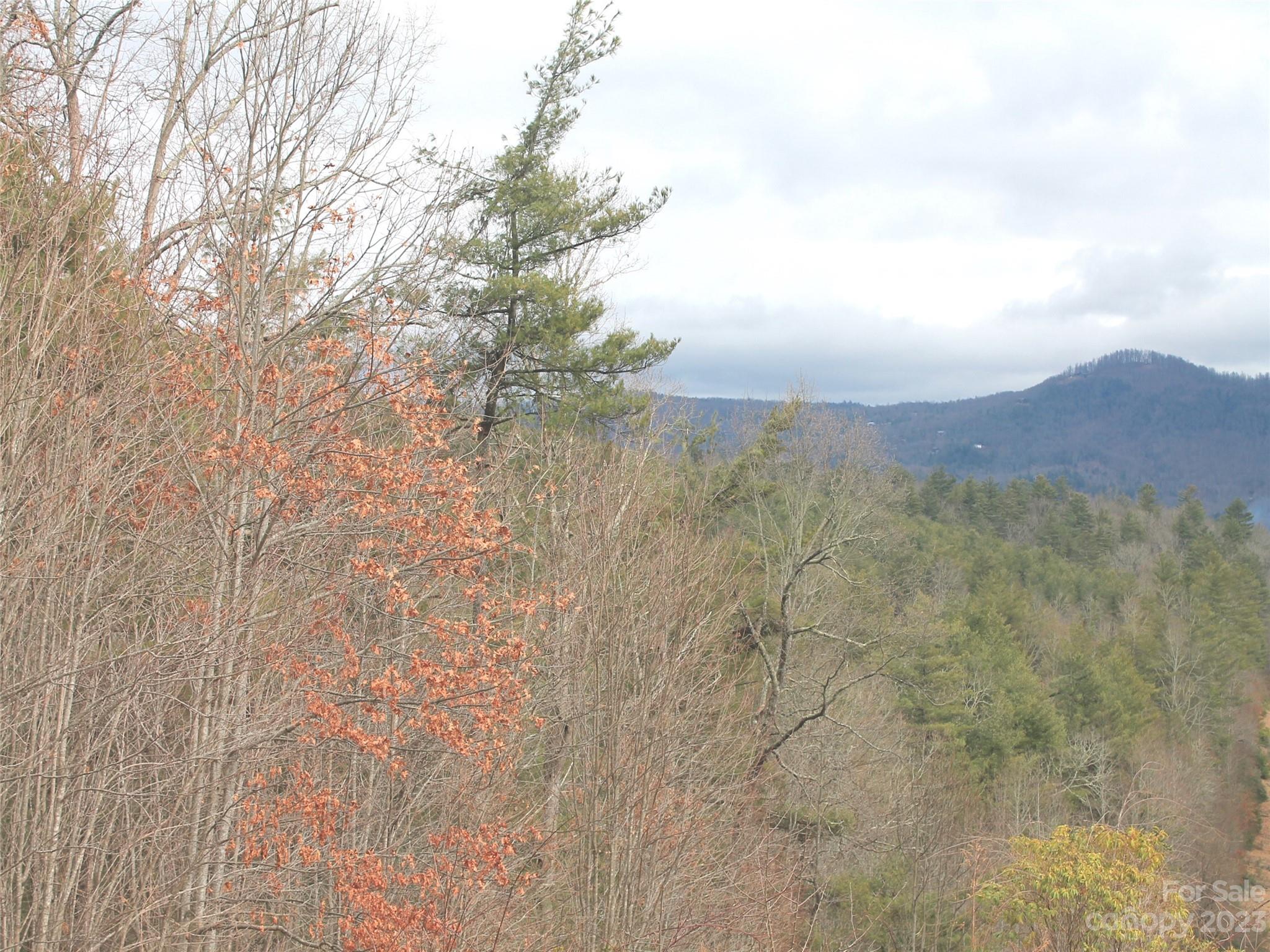 Kanuga Ridge - Land
