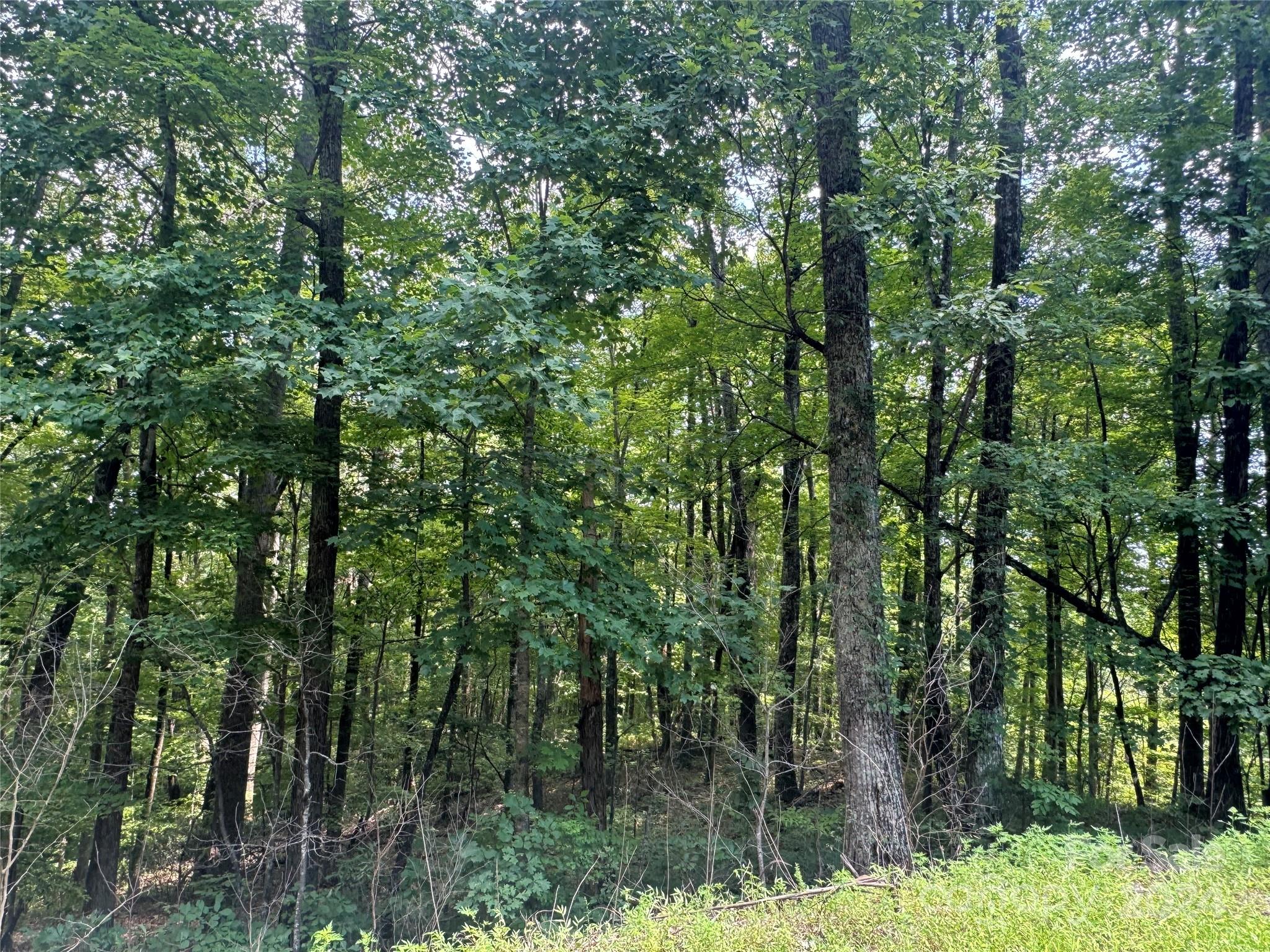 Riverbend Highlands - Land