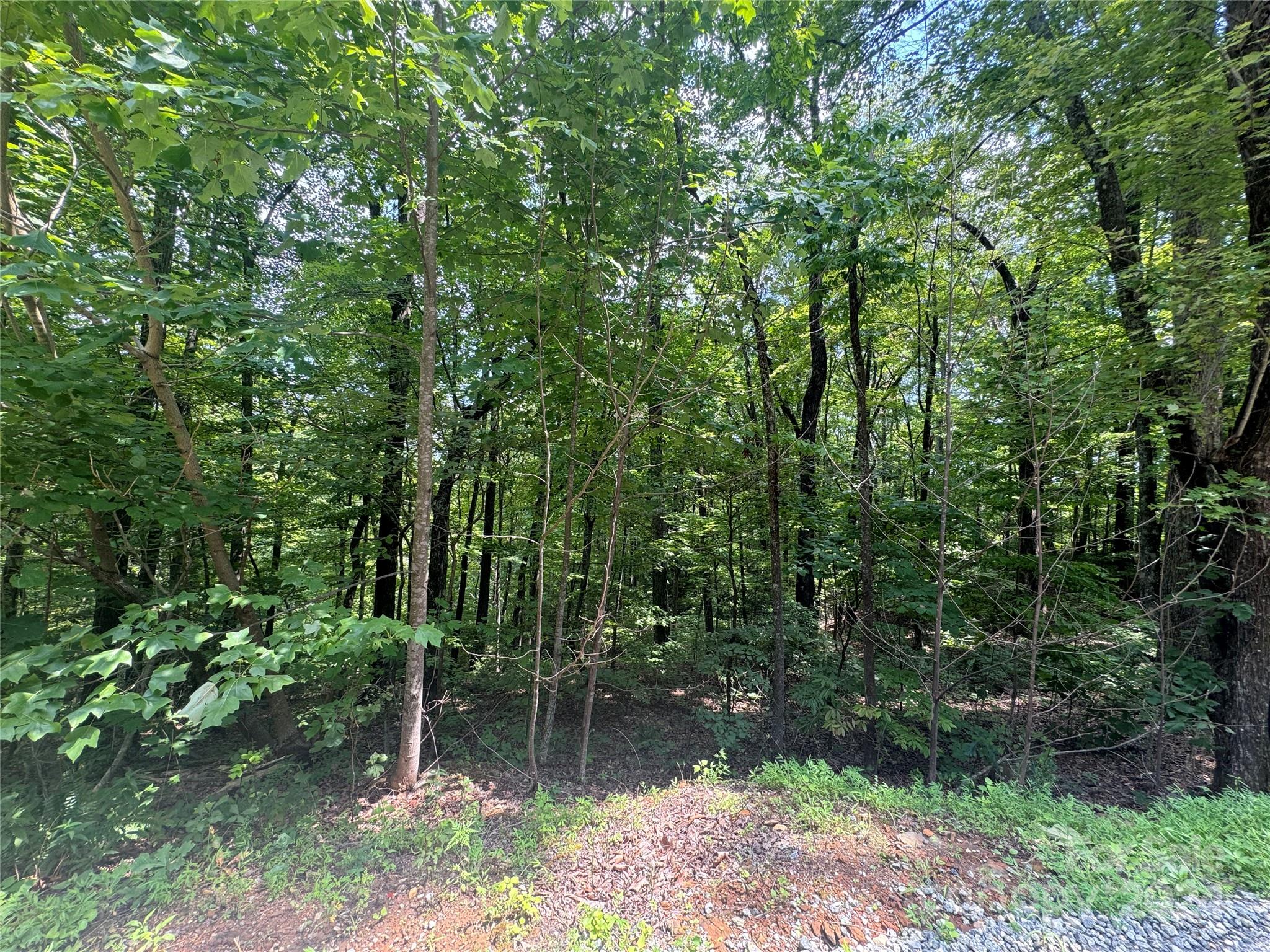 Riverbend Highlands - Land