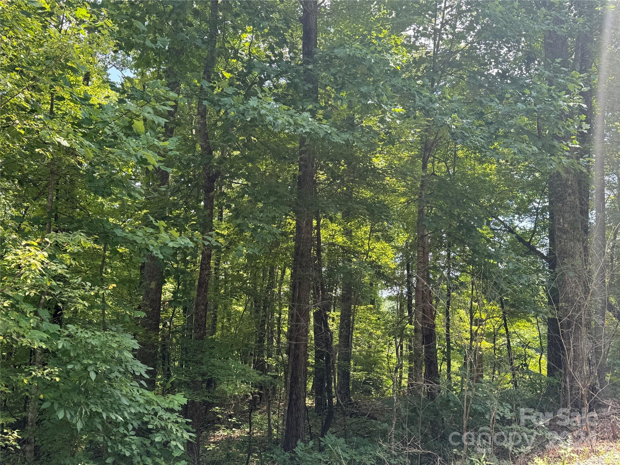 Riverbend Highlands - Land