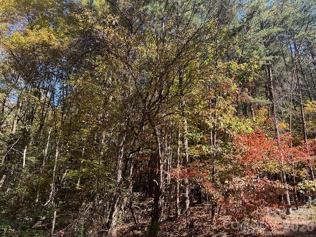 High Peak Mountain Estates - Land