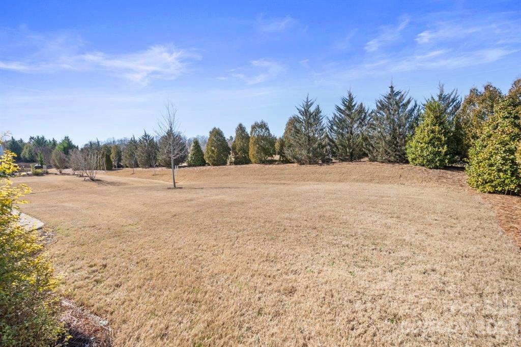 Carolina Orchards - Residential