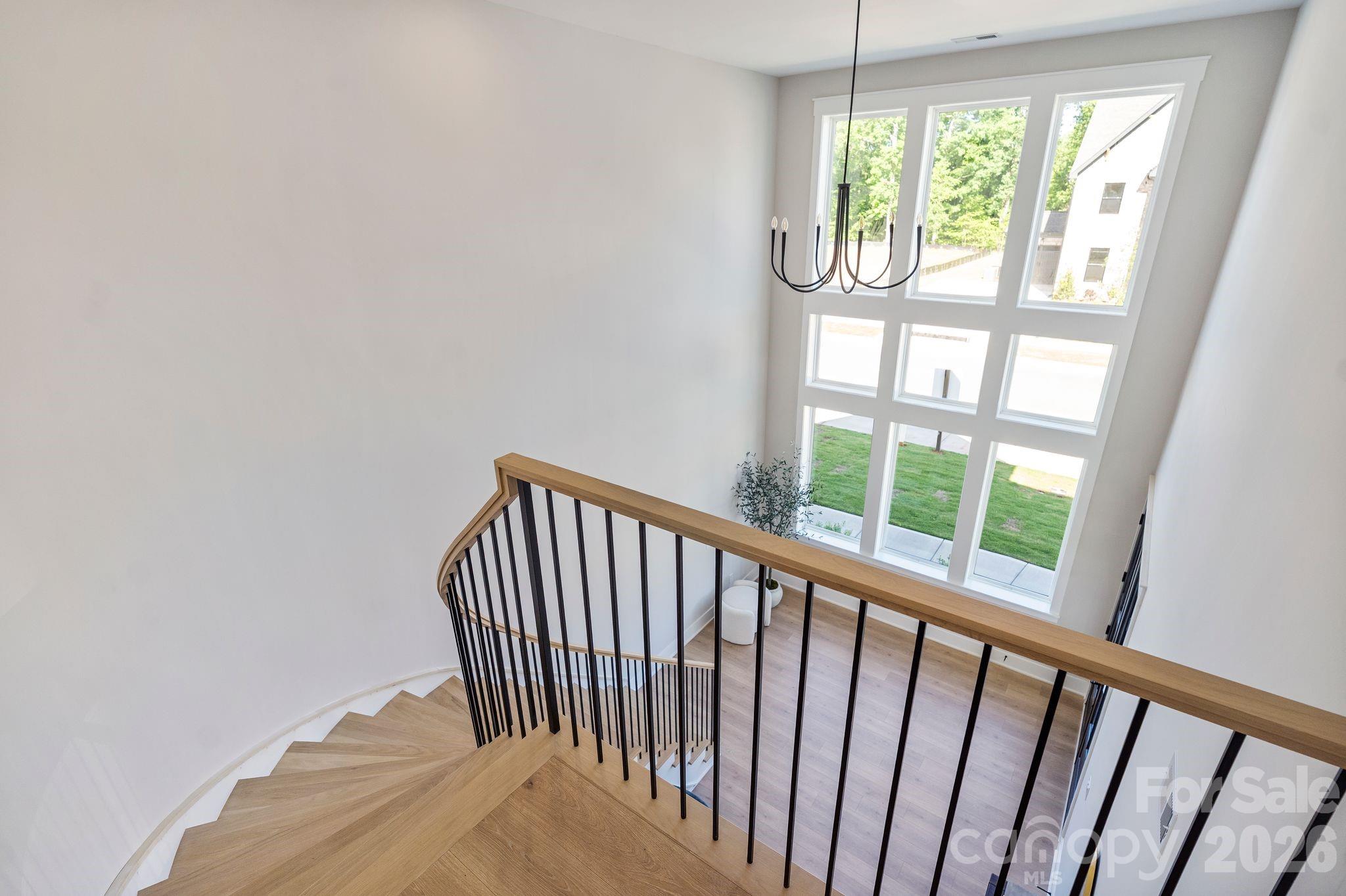 The Bluffs at Wesley Chapel - Residential