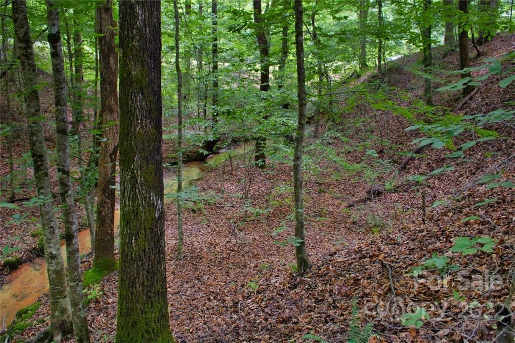 Clearwater Creek - Land