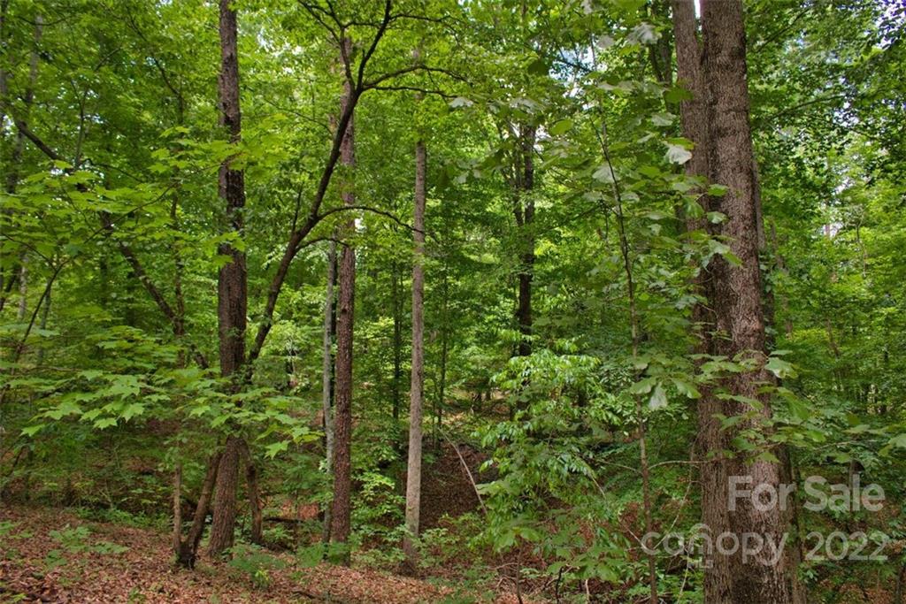 Clearwater Creek - Land