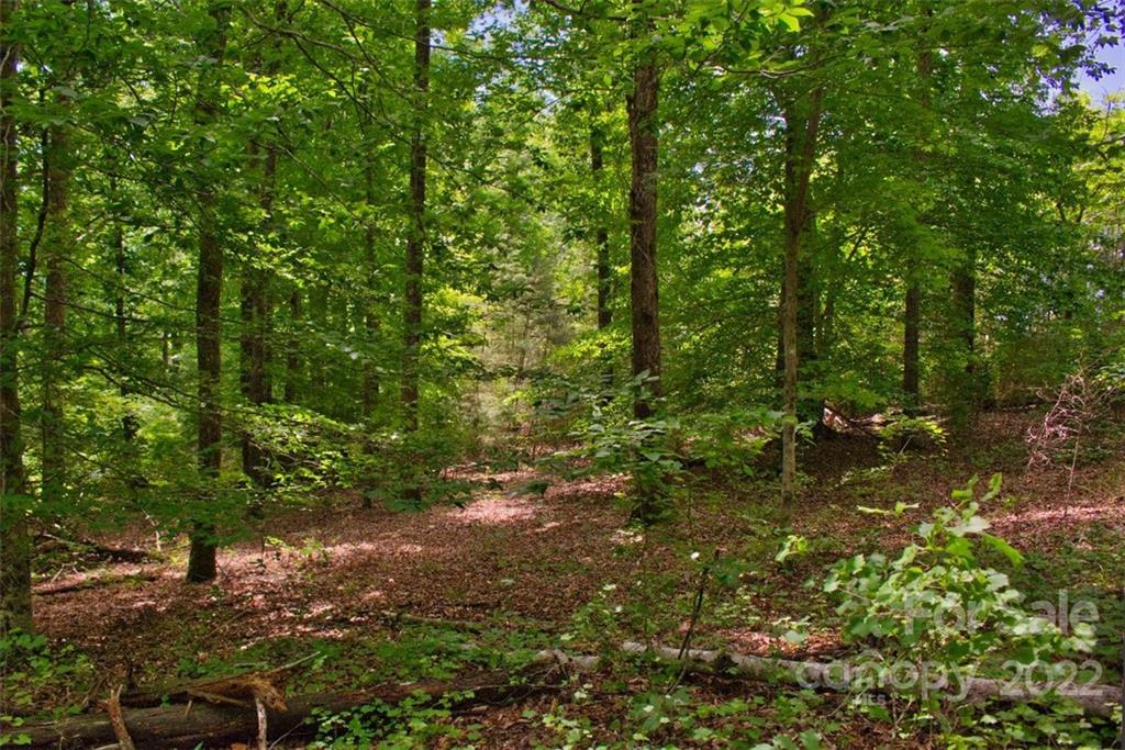 This lot rolls with undulations and an overall gentle slope - with the most gentle area almost midpoint between the  road frontage (west border) and the stream (east), offering beauty and privacy plus an easy build.
A generous parcel, it's convenient to the north gate of the community, yet it's on a little-used road. Features a great deal of privacy while being tucked under a canopy of mostly hardwoods. (Shade all summer and sunlight in the winter.) The stream flows all year, and while it gets a bit steeper along the water, it's still a lovely view, and not all that challenging to approach.
The deer trails offer additional charm to this lovely property. While it's a bit dense along the road frontage, there's a minimum of undergrowth - you'll find it easy to walk on and explore.