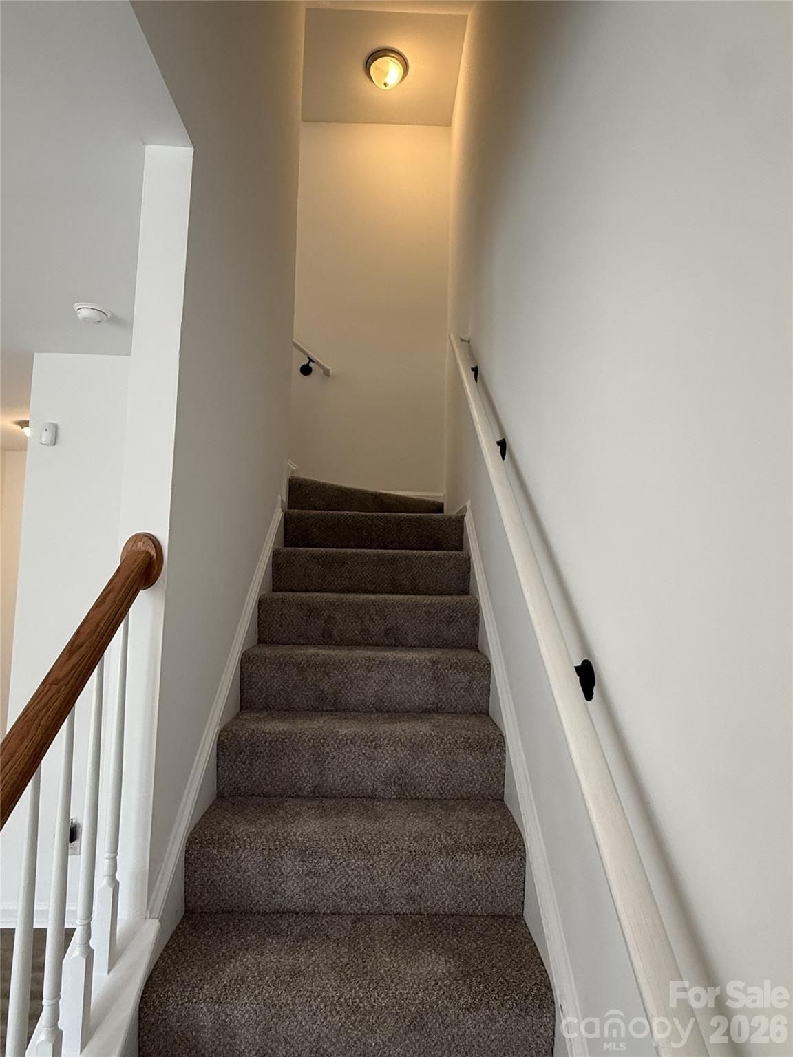TownHomes at Ayrsley - Residential