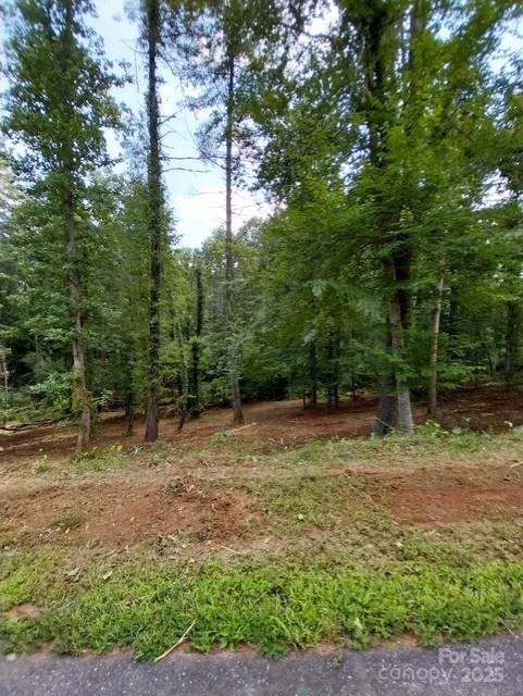 This remarkable 1.31-acre property, Lots 244 and 245 being sold together serves as the ideal foundation for designing your dream home, complete with the ease of county water and sewer access. Once you pass through the gate, a scenic drive unfolds before you, featuring smooth roads that meander past vibrant flower gardens and a charming gazebo, leading you to the iconic Overlook Pavilion. Here, the breathtaking views stretch endlessly over the shimmering lake, majestic mountains, In addition to the breathtaking views, the community boasts exclusive amenities such as a private entrance to a tranquil area featuring eight boat slips, a secluded dock, a charming fire pit, and a designated spot for your paddle gear, making every day feel like a getaway. Don’t miss out on this extraordinary opportunity! RECENTLY SEMI-CLEARED FOR EASY WALKING ACCESS.