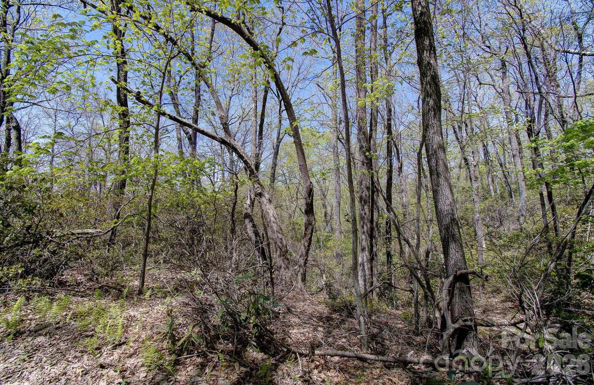 Shumont Properties - Land