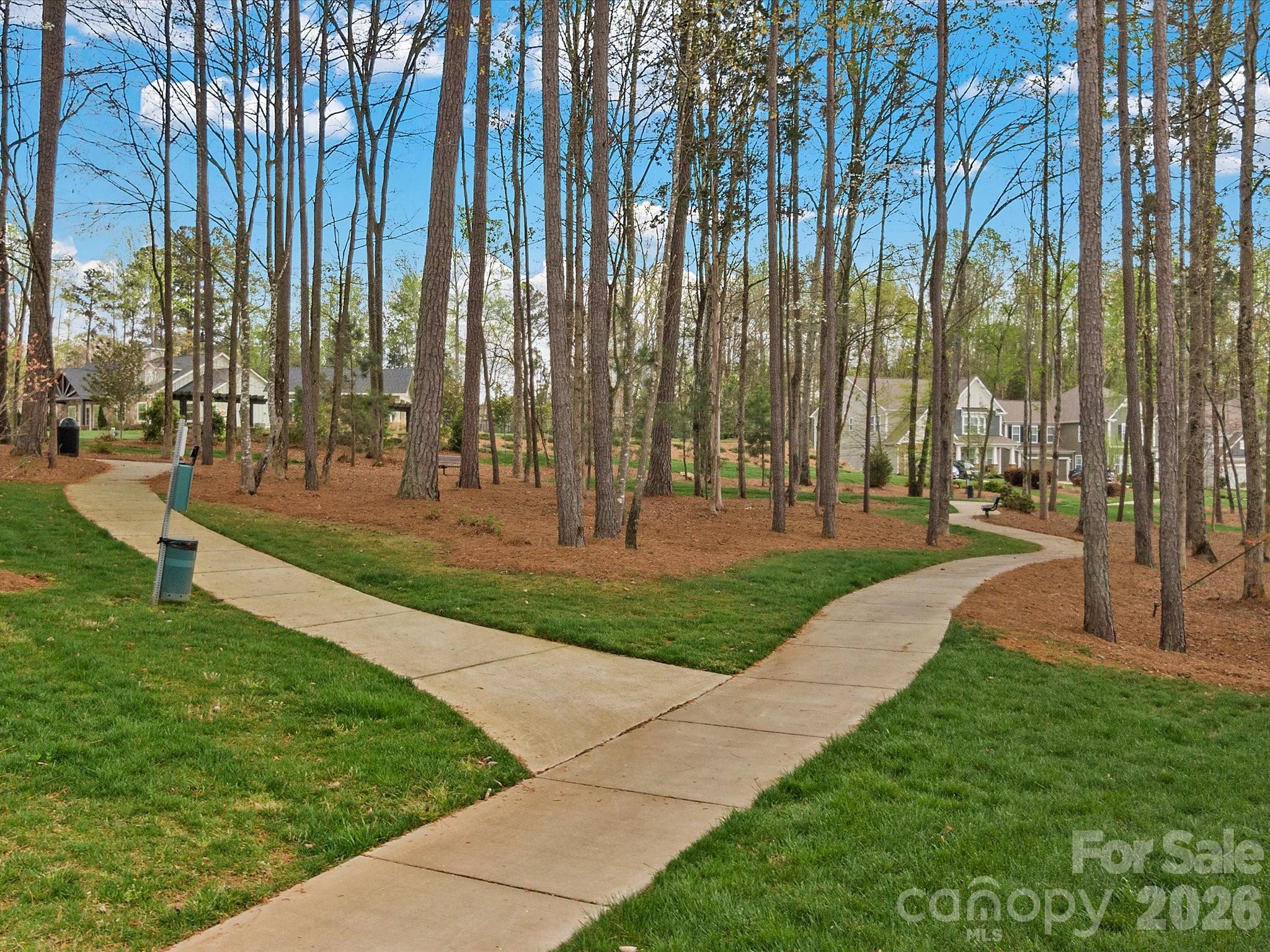 Ivy Ridge - Residential
