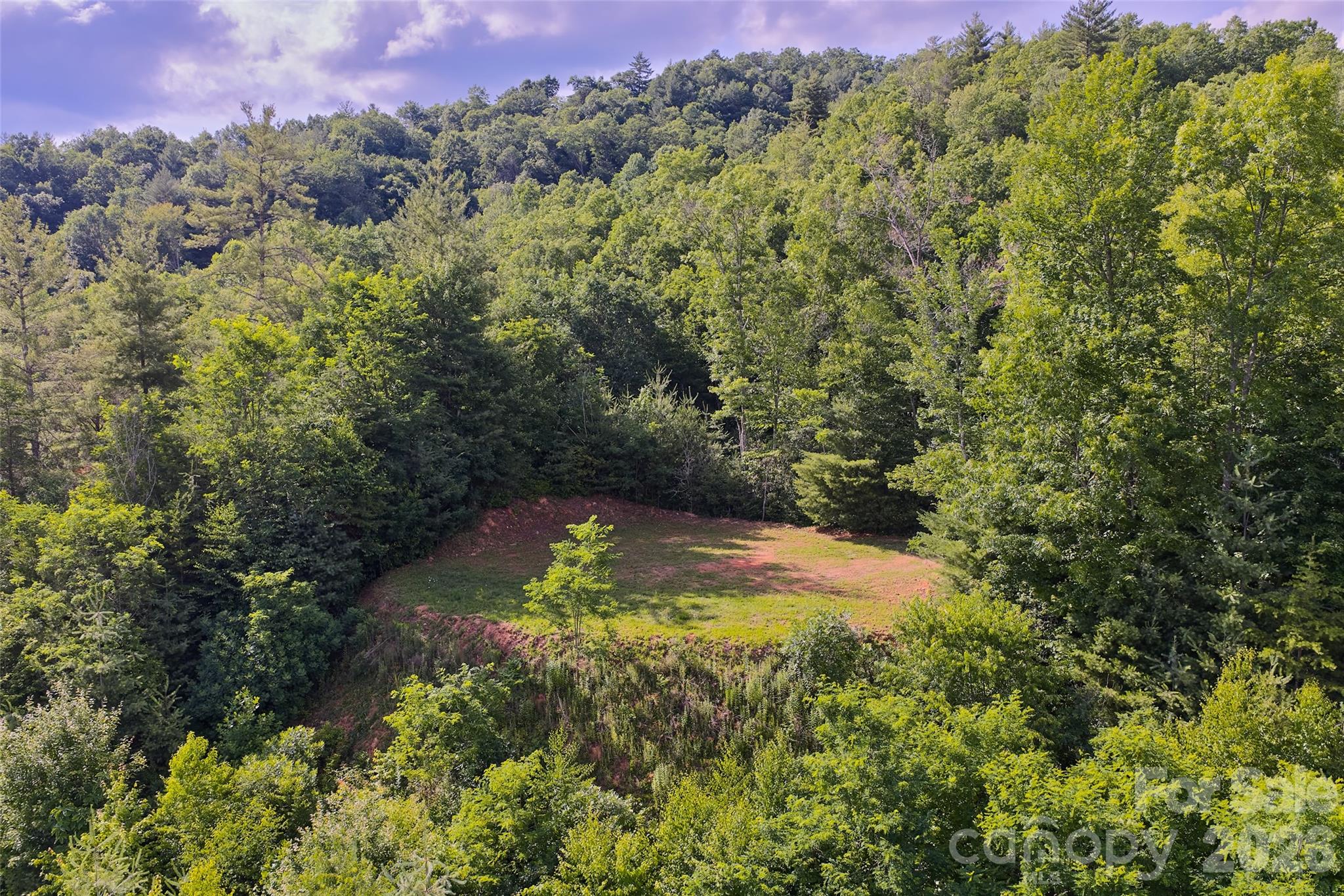 Mystic Forest - Land