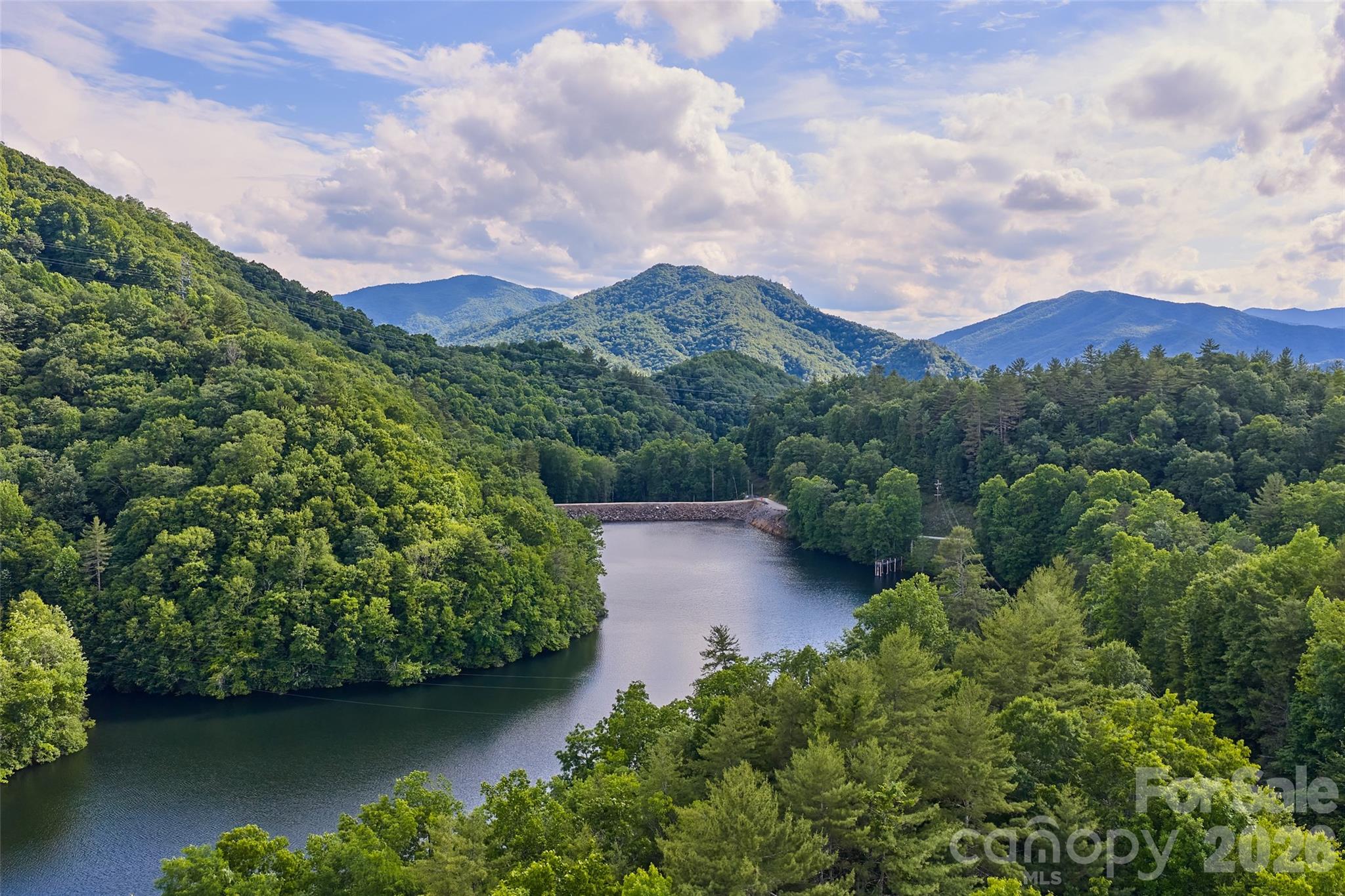 Mystic Forest - Land