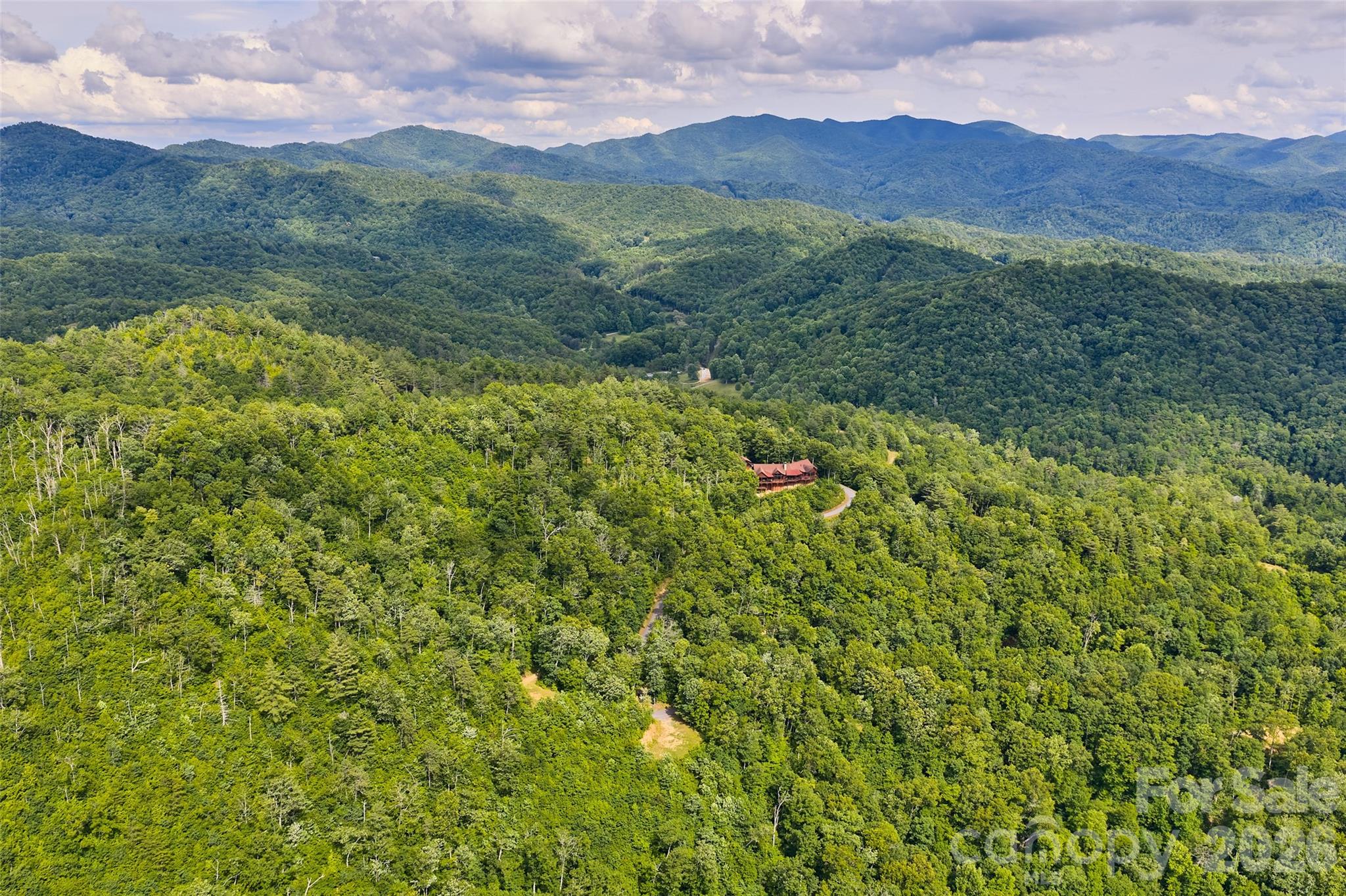 Mystic Forest - Land