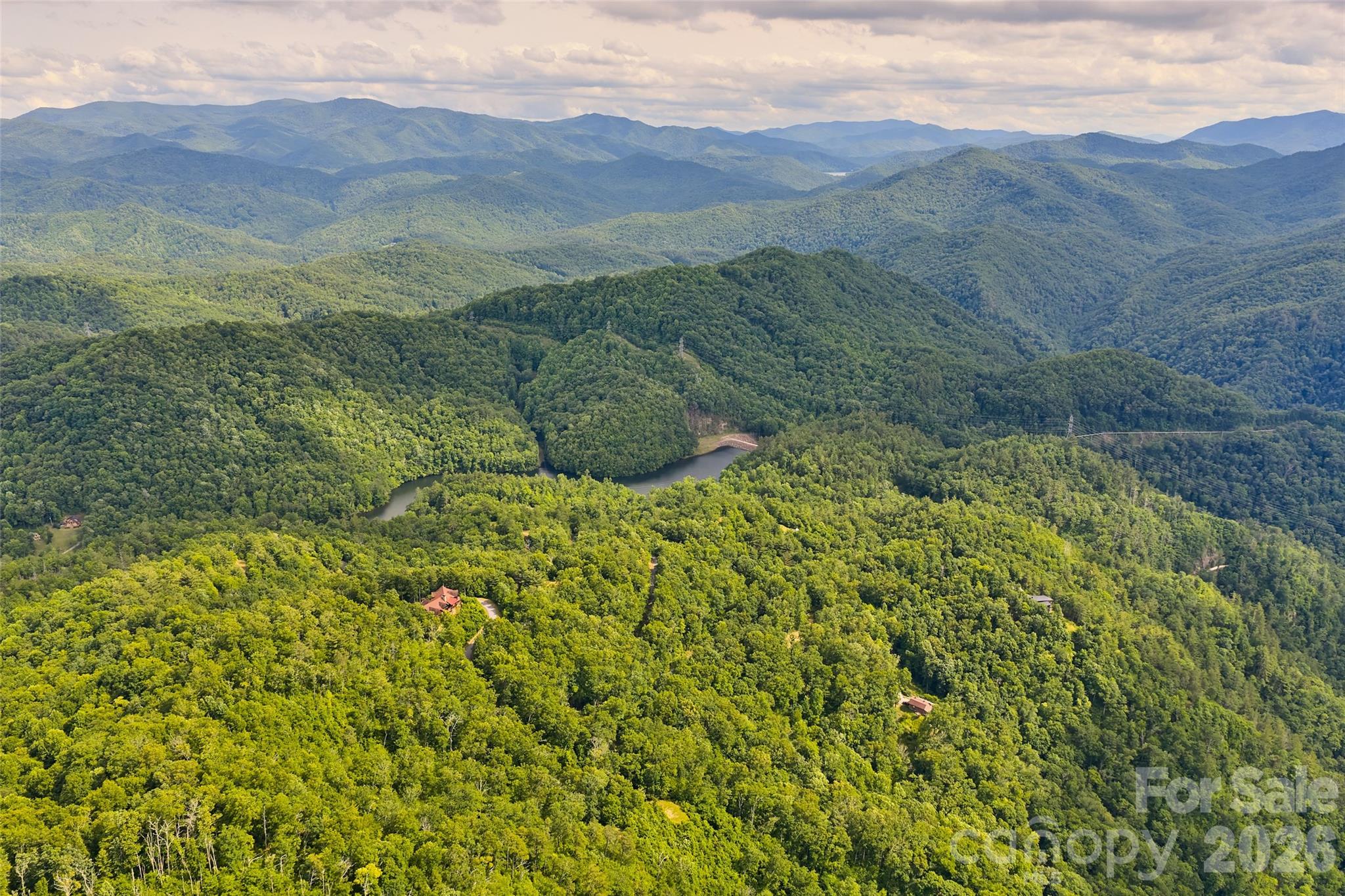 Mystic Forest - Land