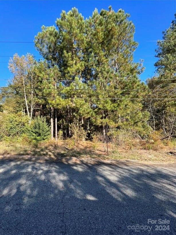 OWNER FINANCING AVAILABLE This wooded double lot, measuring over half an acre, is a slice of heaven nestled in a quiet neighborhood. It is the perfect place to start a new beginning and create your dream home full of privacy and country living. It has an assortment trees, including evergreens, creating a peaceful and tranquil atmosphere in any season.. Owner finance with 30% - 50% down and 12% interest for 10 years