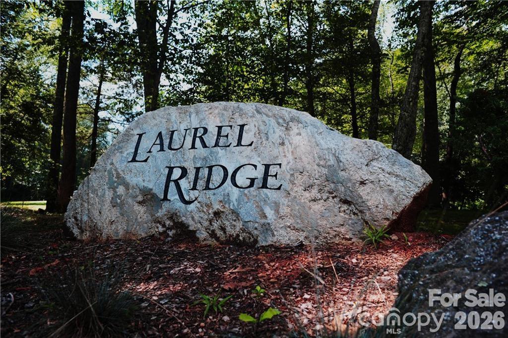 Laurel Ridge - Residential