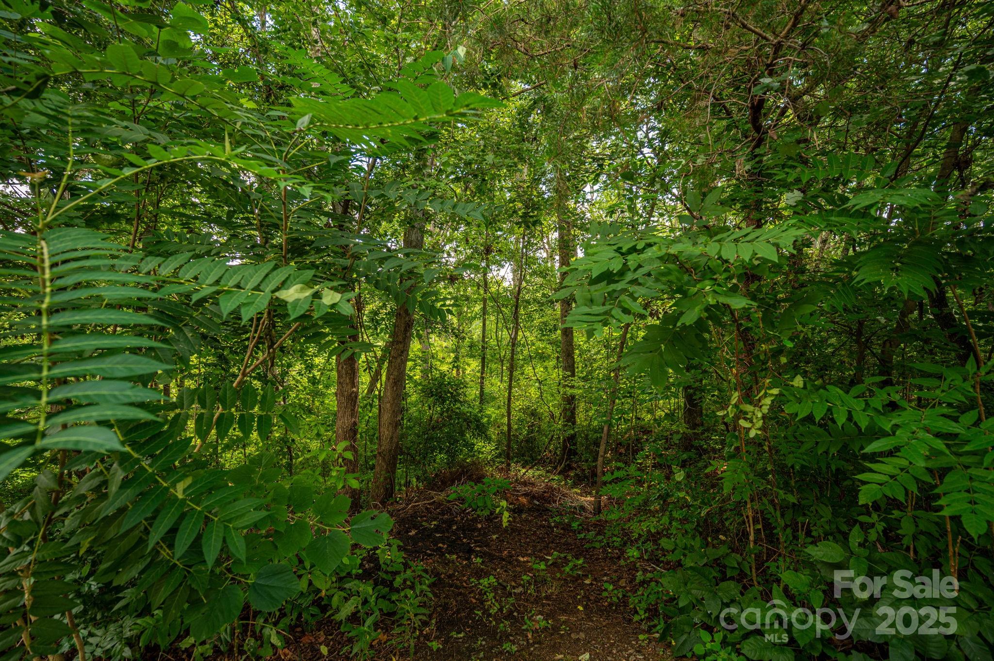 Build Your Dream Home on a Beautiful Wooded Lot!

Discover the perfect place to create your custom retreat on this 1.08 -acre wooded lot with scenic views and natural privacy. Whether you bring your own builder or choose from one of our trusted partners, this property offers the flexibility to design the home you’ve always envisioned.

Enjoy the peaceful charm of the surrounding landscape, with Floyd’s Creek bordering the property—an ideal backdrop for a primary residence or weekend getaway. Public water is available for added convenience, and adjacent lots can also be purchased if you’d like additional space or investment potential.

With a minimum build of 1,300 sq. ft., light protective restrictions in place to safeguard your investment, and no HOA dues, this lot strikes the perfect balance of freedom and peace of mind.

Don’t miss your chance to own a slice of nature and start building your dream home today!