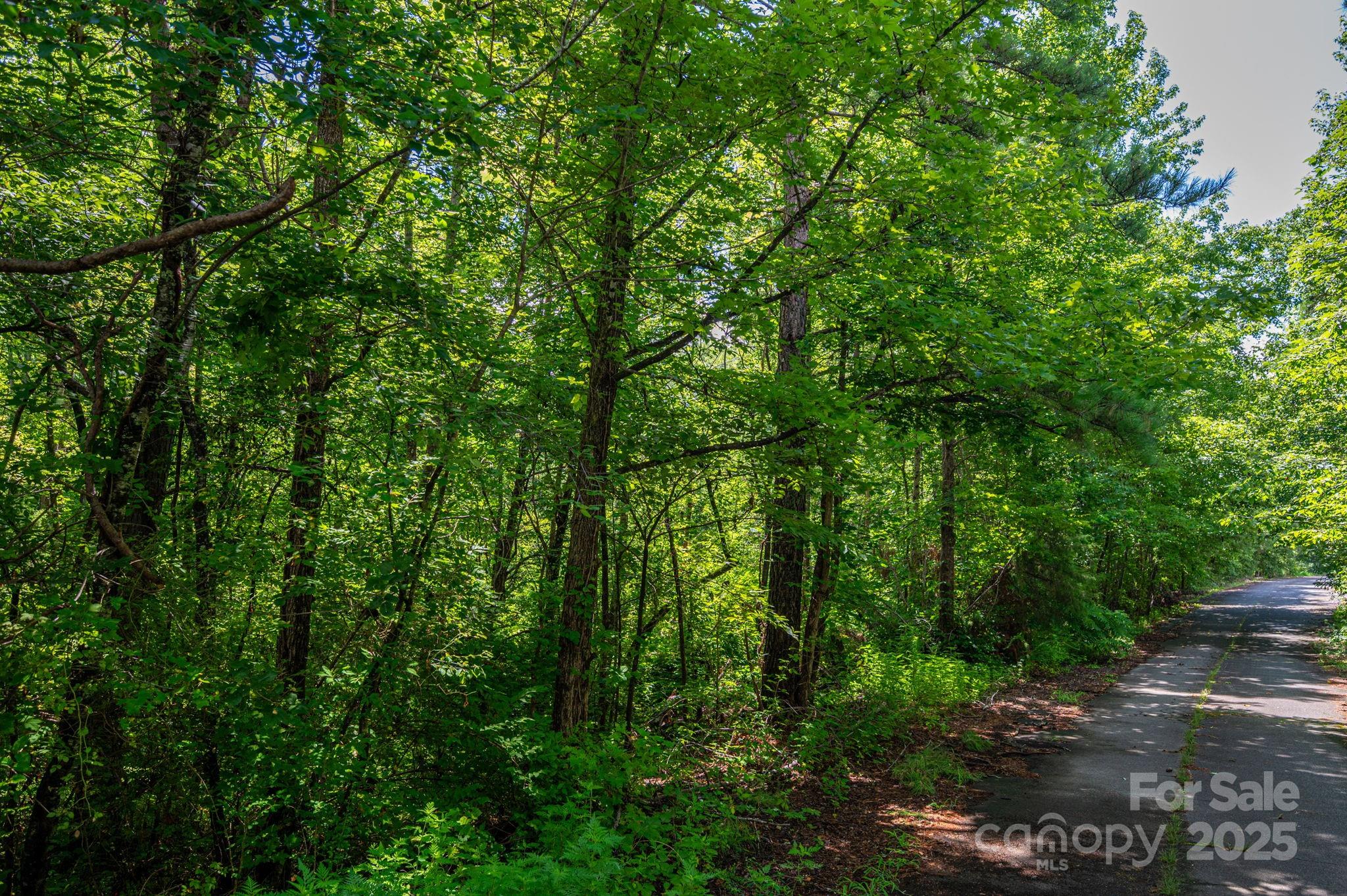 White Oak - Land