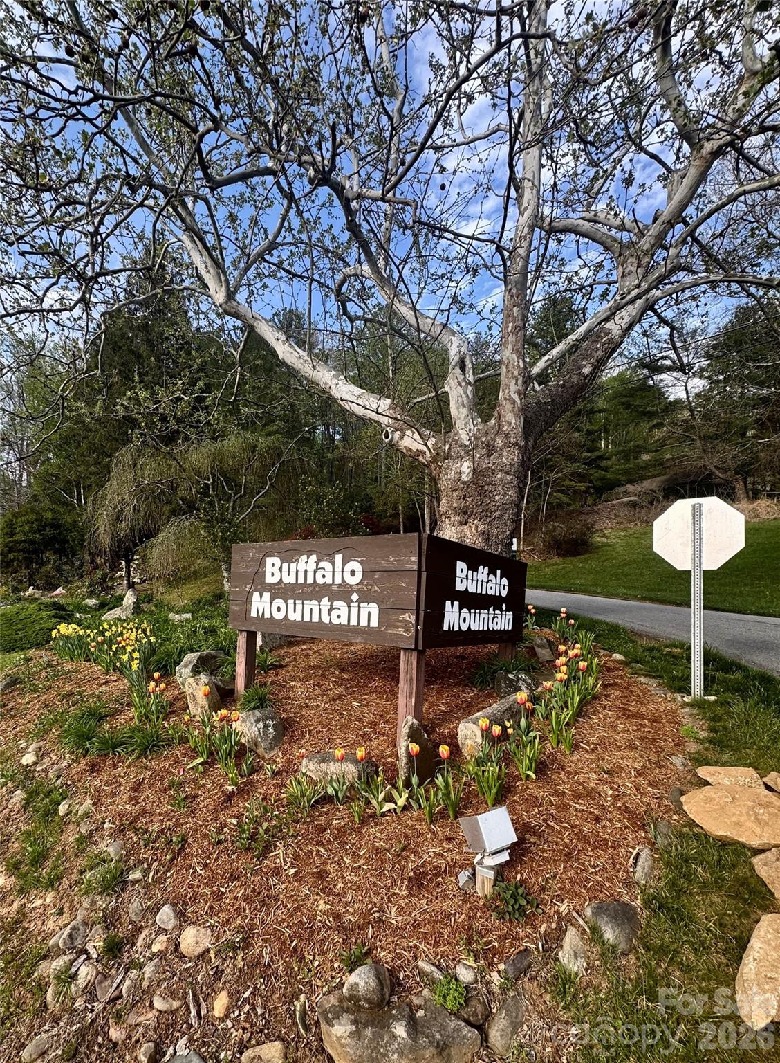 Buffalo Mountain - Land