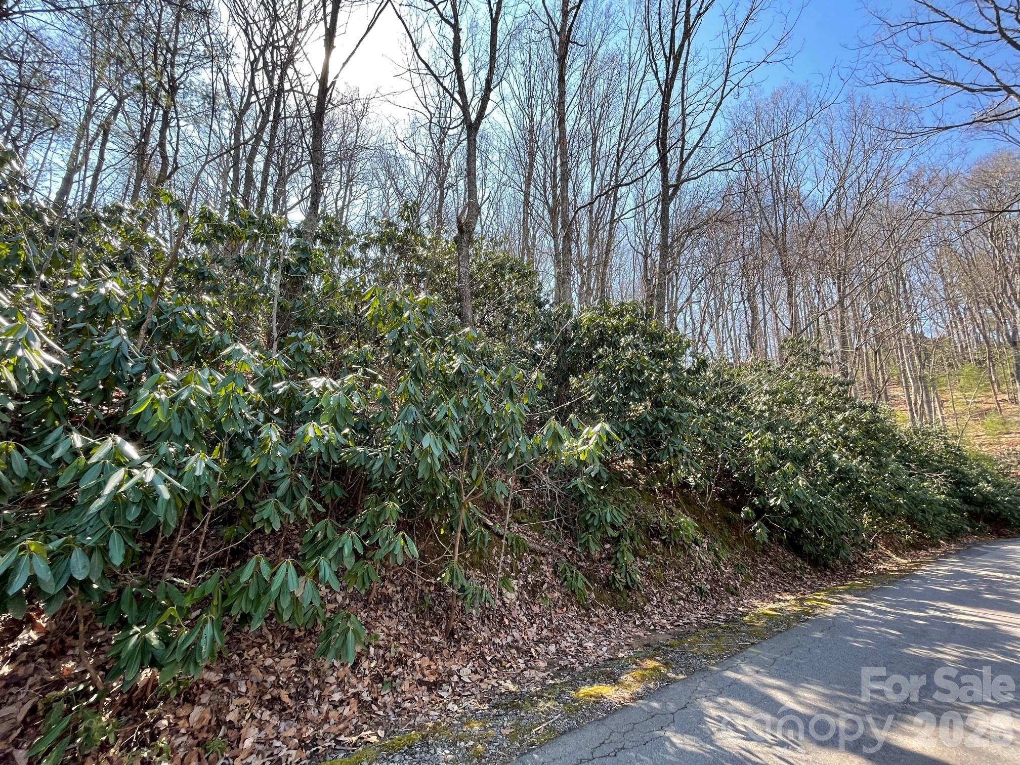 Build your dream home in desirable Buffalo Mountain. Buffalo Mountain is in the scenic Riceville Valley and only 15 minutes to downtown Asheville. Also, convenient to The Blue Ridge Parkway, The VA Medical Center and many of WNC's outdoor adventures. Lot offers winter views and is surrounded by native wildlife and lush natural flora, creating a picturesque and tranquil setting. Buffalo Mountain features paved roads and city water (managed through the HOA). See agent remarks. Please review all MLS attachments. Septic system needed. Only a short drive to Asheville’s vibrant dining, arts and culture scene. The Buffalo Mountain community hosts a variety of social activities throughout the year for residents to enjoy.