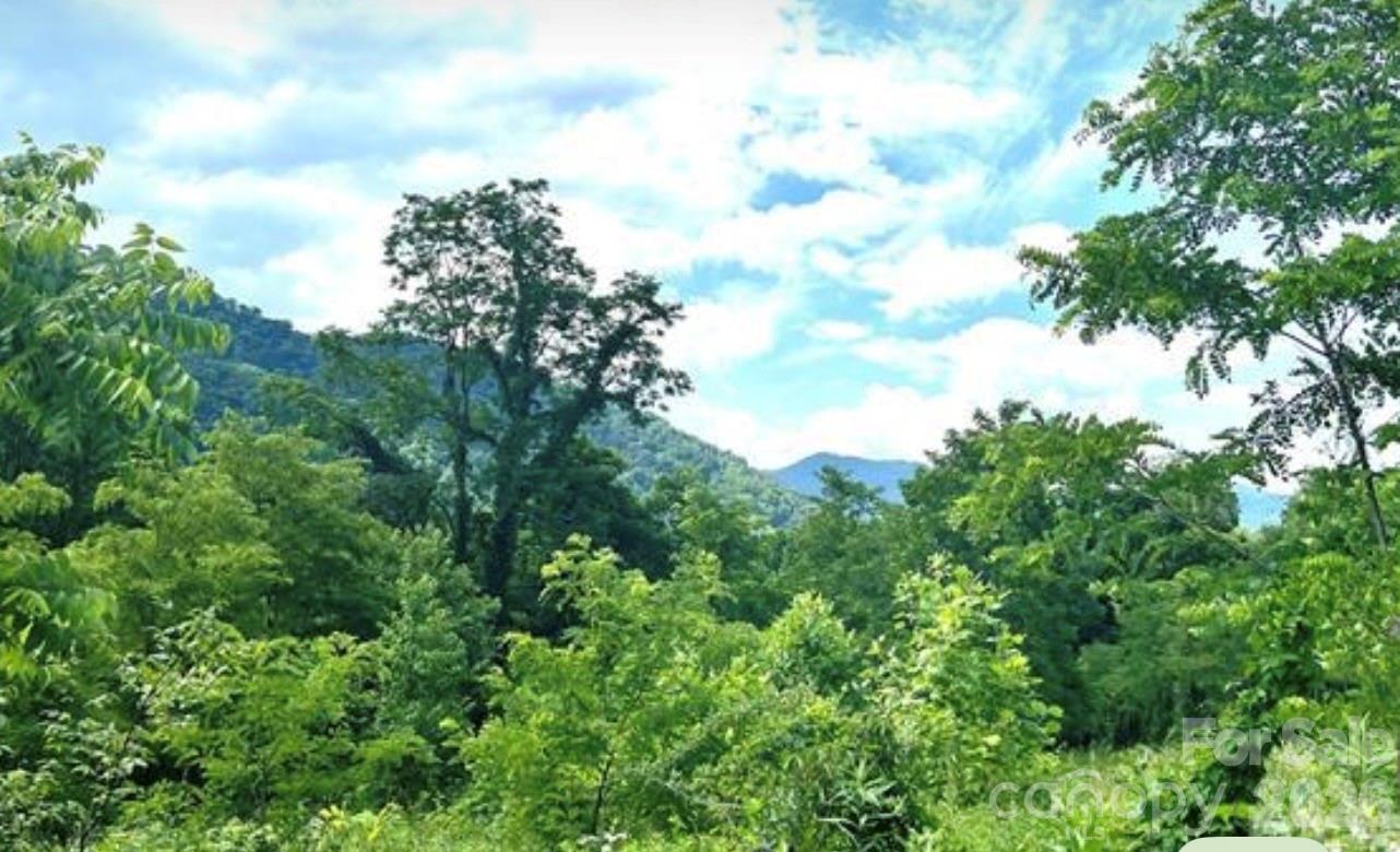 Split Pine Estates - Land